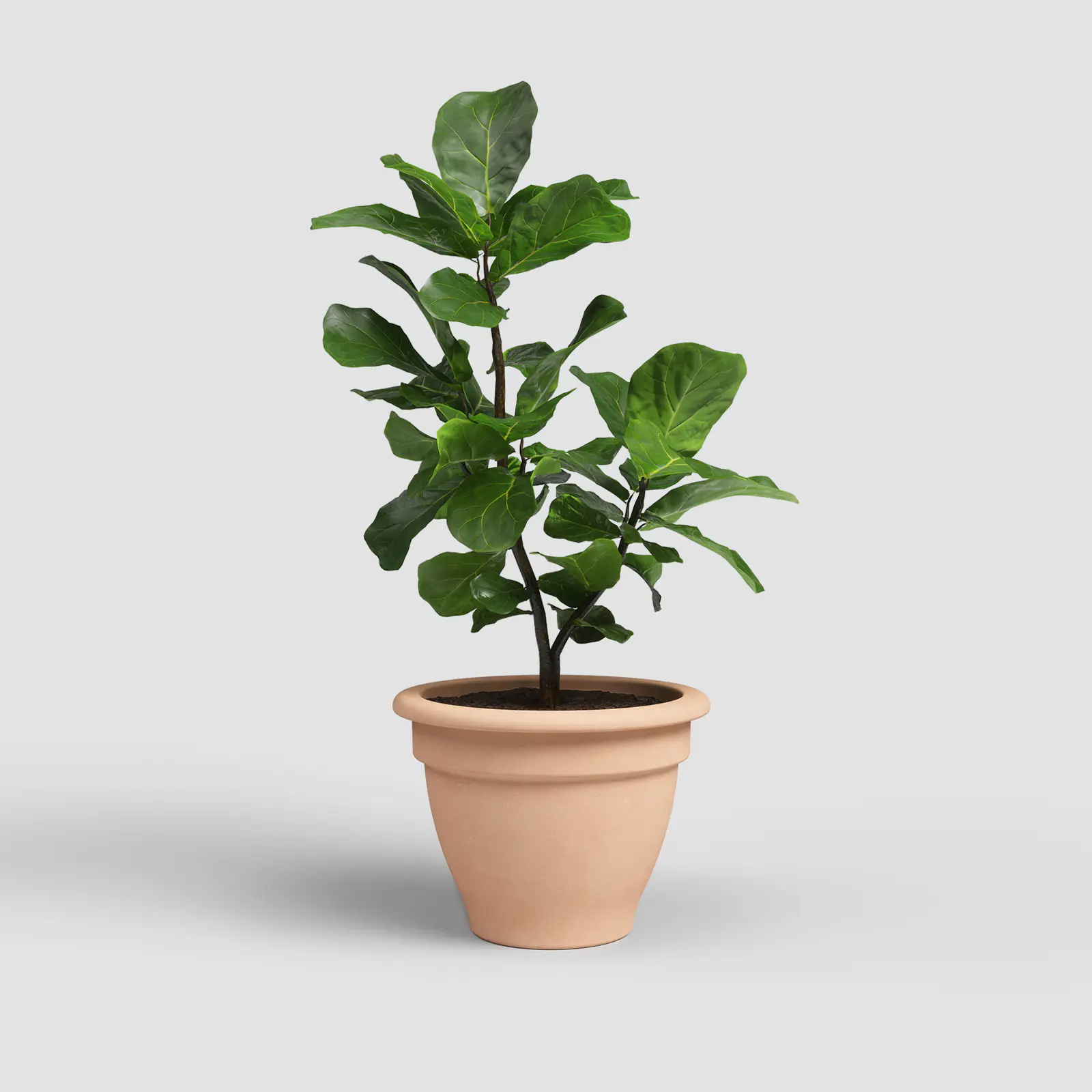 Artevasi Pflanztopf Pessoa Campana Terrakotta Ø 43,8 x 30,1 cm natur