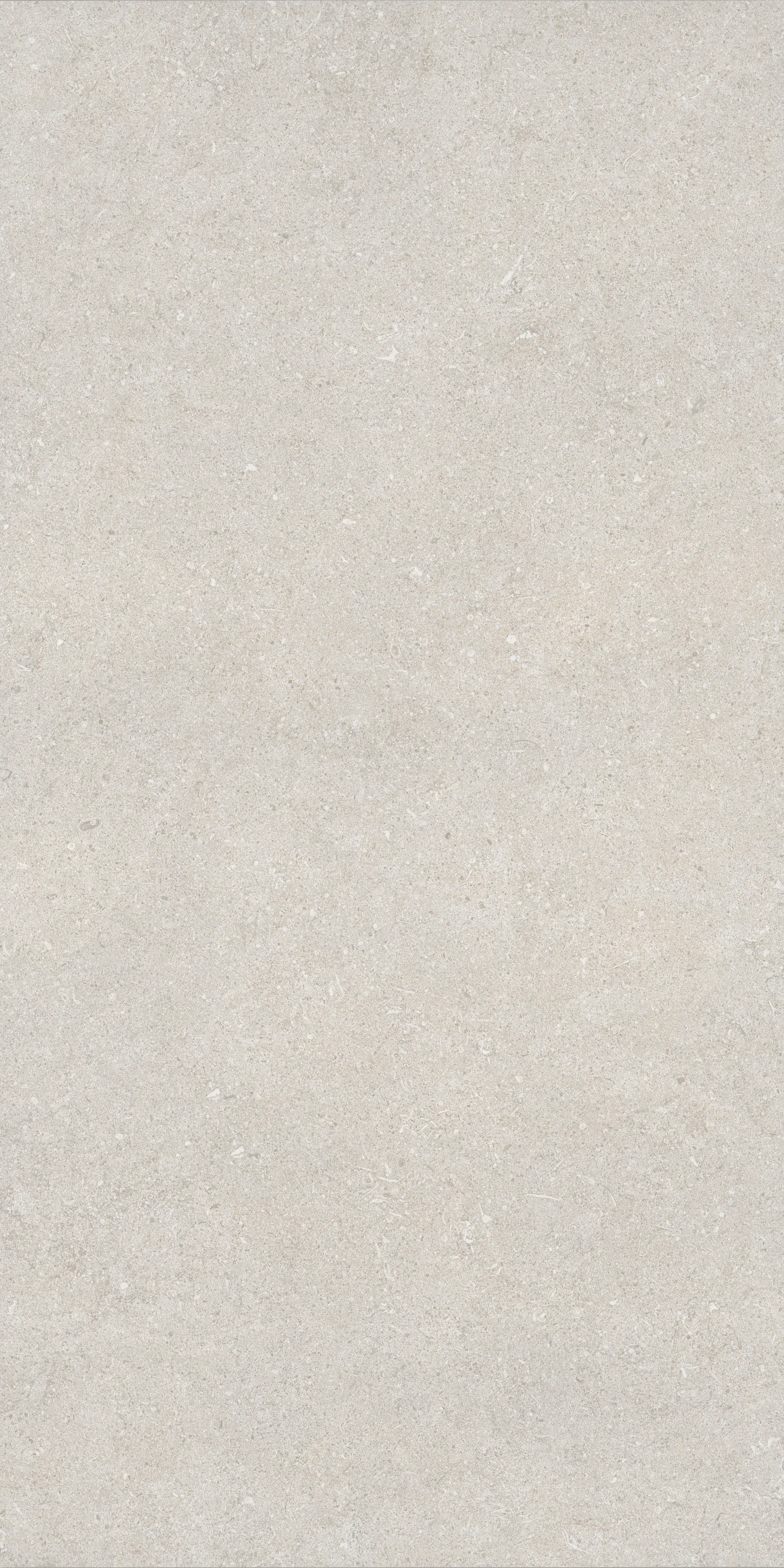 Bodenfliese Feinsteinzeug Sensi 60 x 120 cm grau