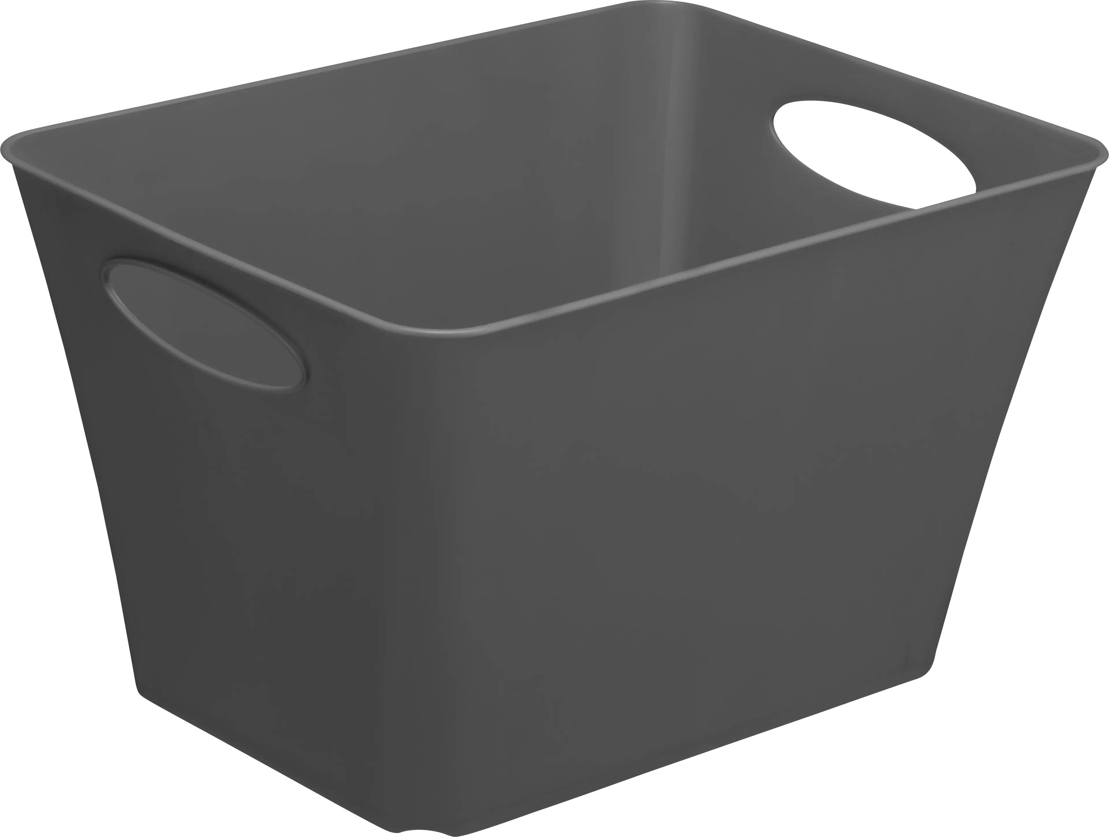 Rotho Aufbewahrungsbox Living 24 L anthrazit 43,1 x 32,1 x 26 cm