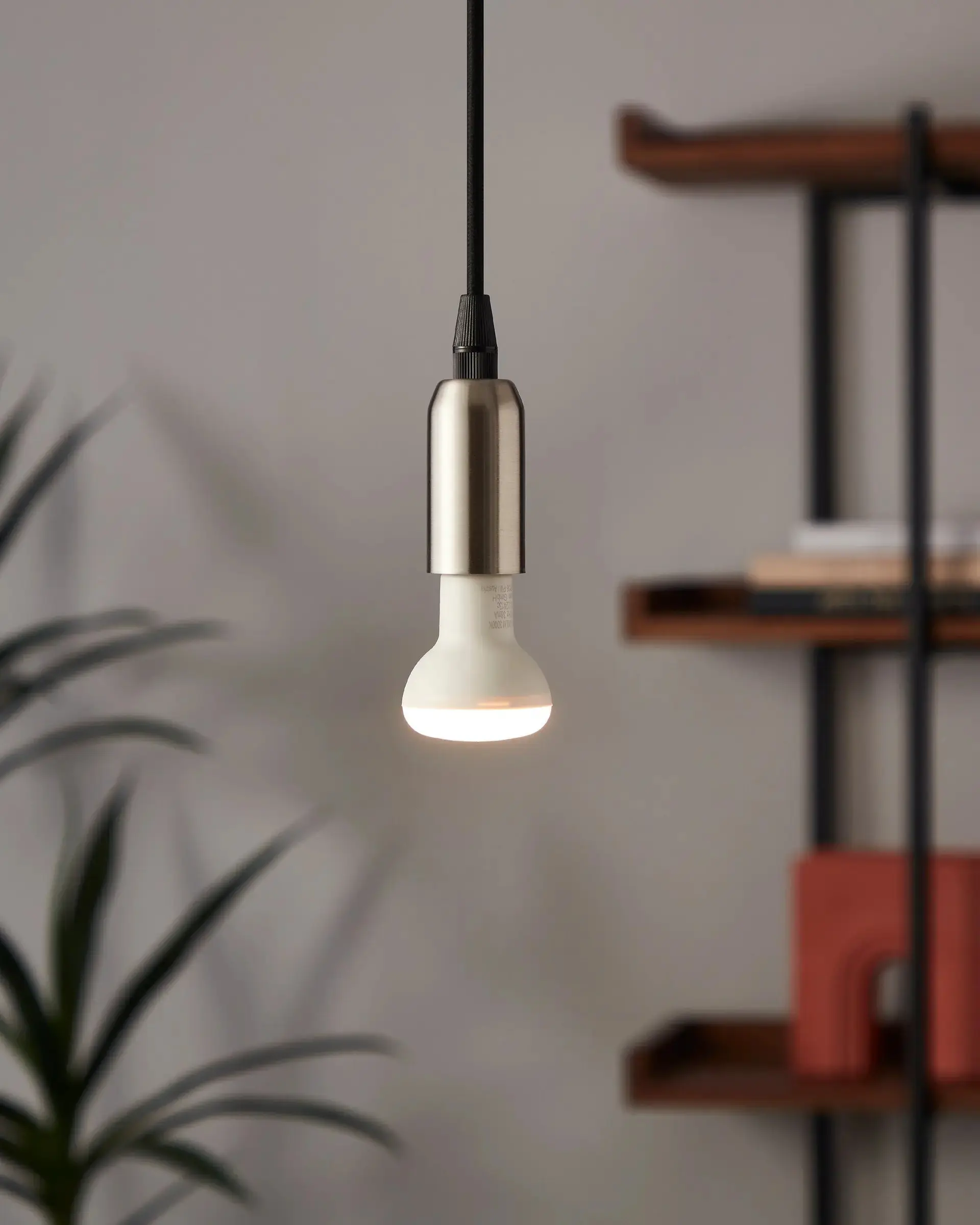 Eglo LED Leuchtmittel Reflektor E14 2,9W warmweiß,opal