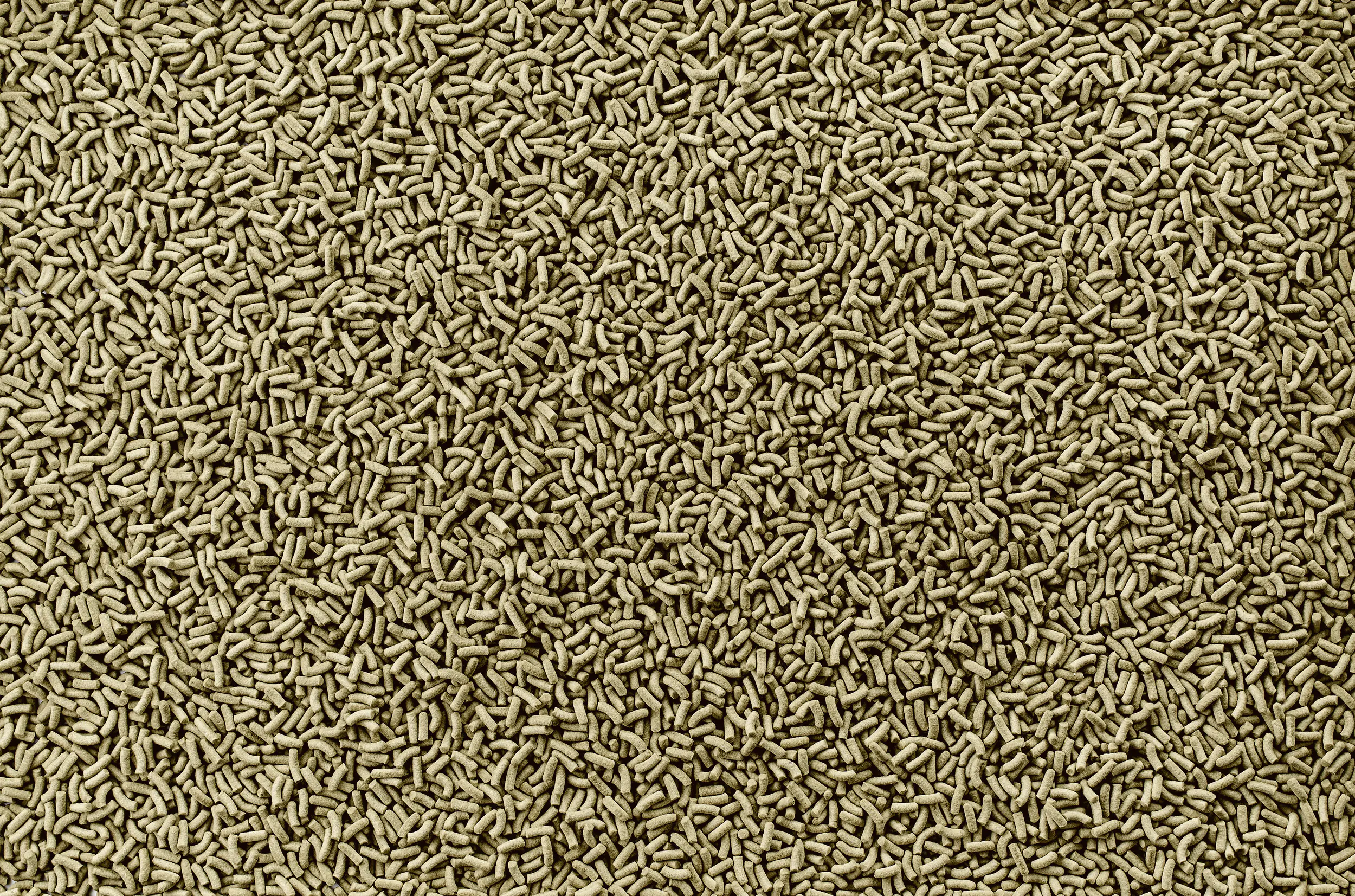 Tetra ReptoMin Baby 100 ml