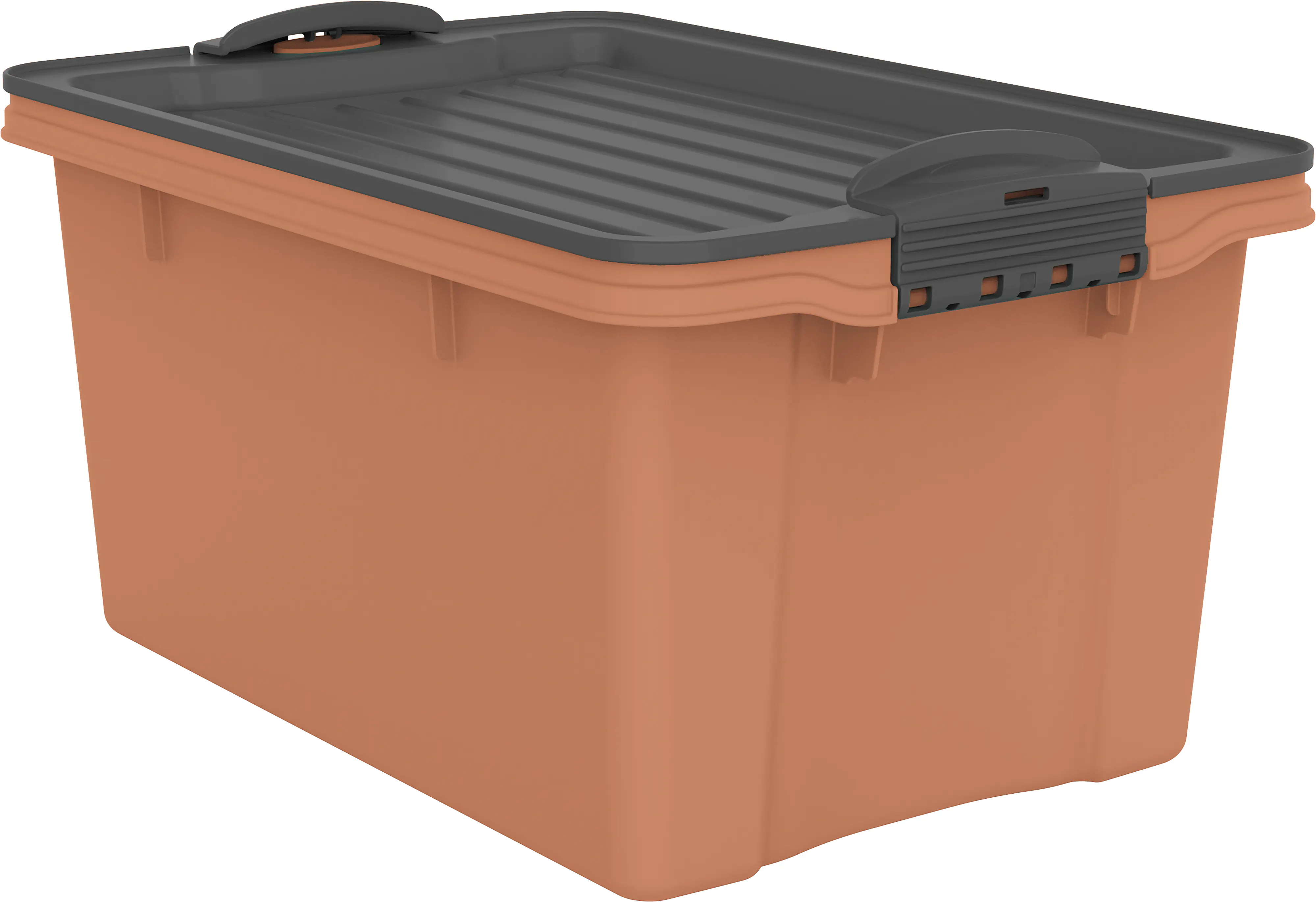 Rotho Aufbewahrungsbox Compact mit Deckel 27 x 18,5 cm 4,5 L clay koralle