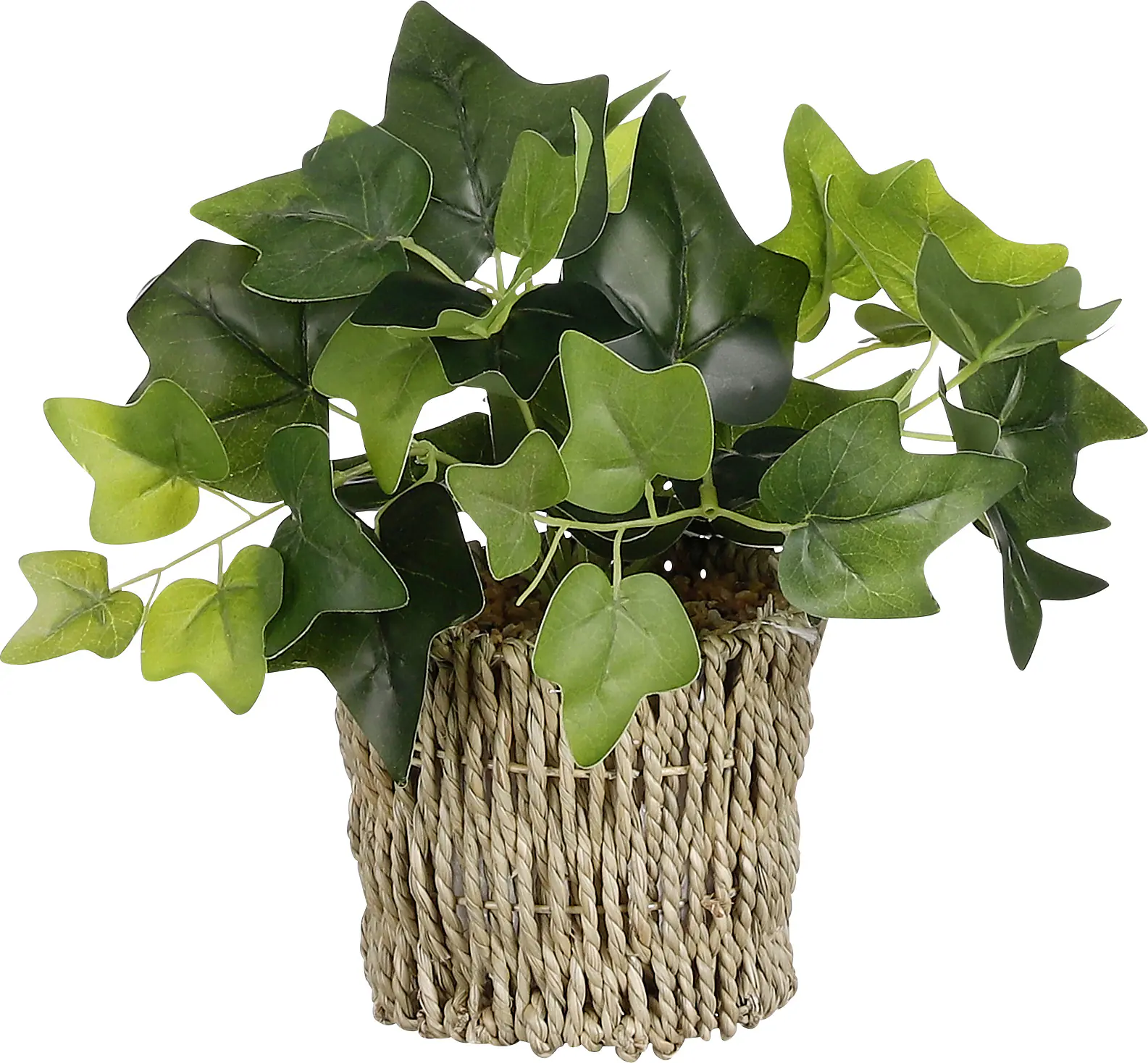 Mica Kunstpflanze Efeu im Korb grün 33 x 12 cm