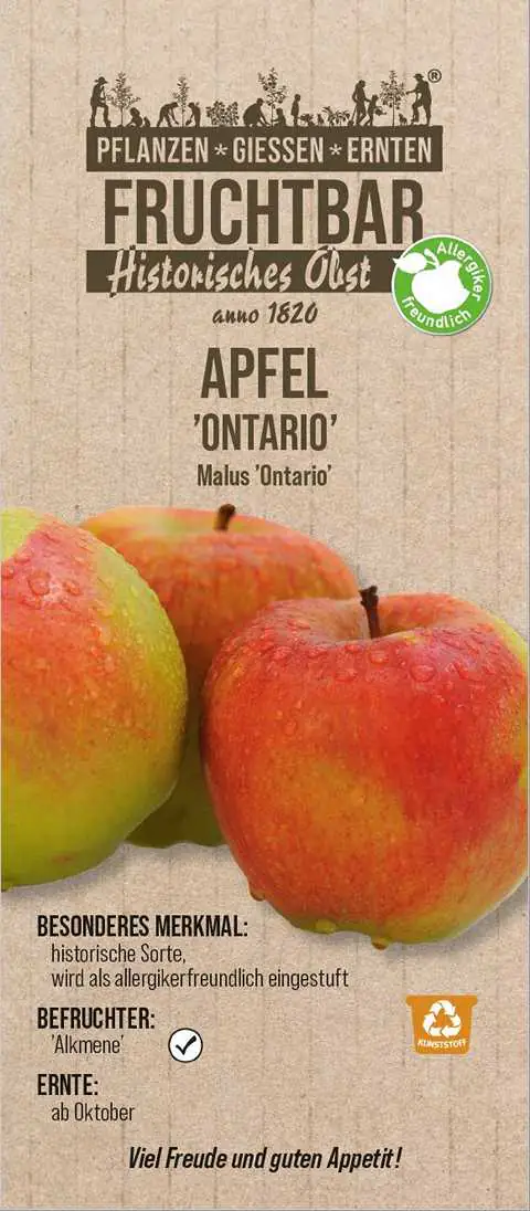 Stadt Ernte Bio Obstbaum Apfel Ontario H 150 cm 29 cm Topf