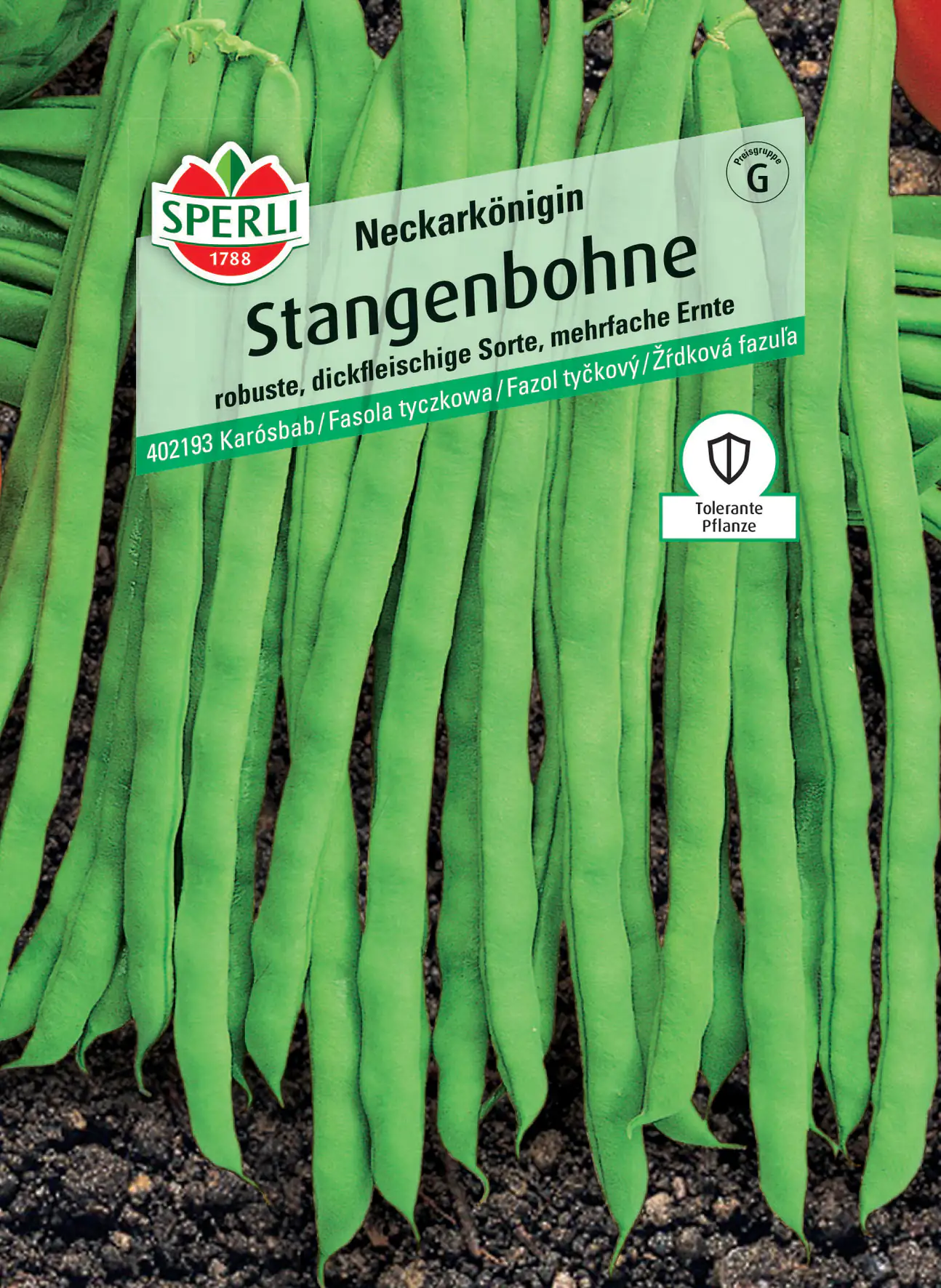 Sperli Stangenbohne Neckarkönigin