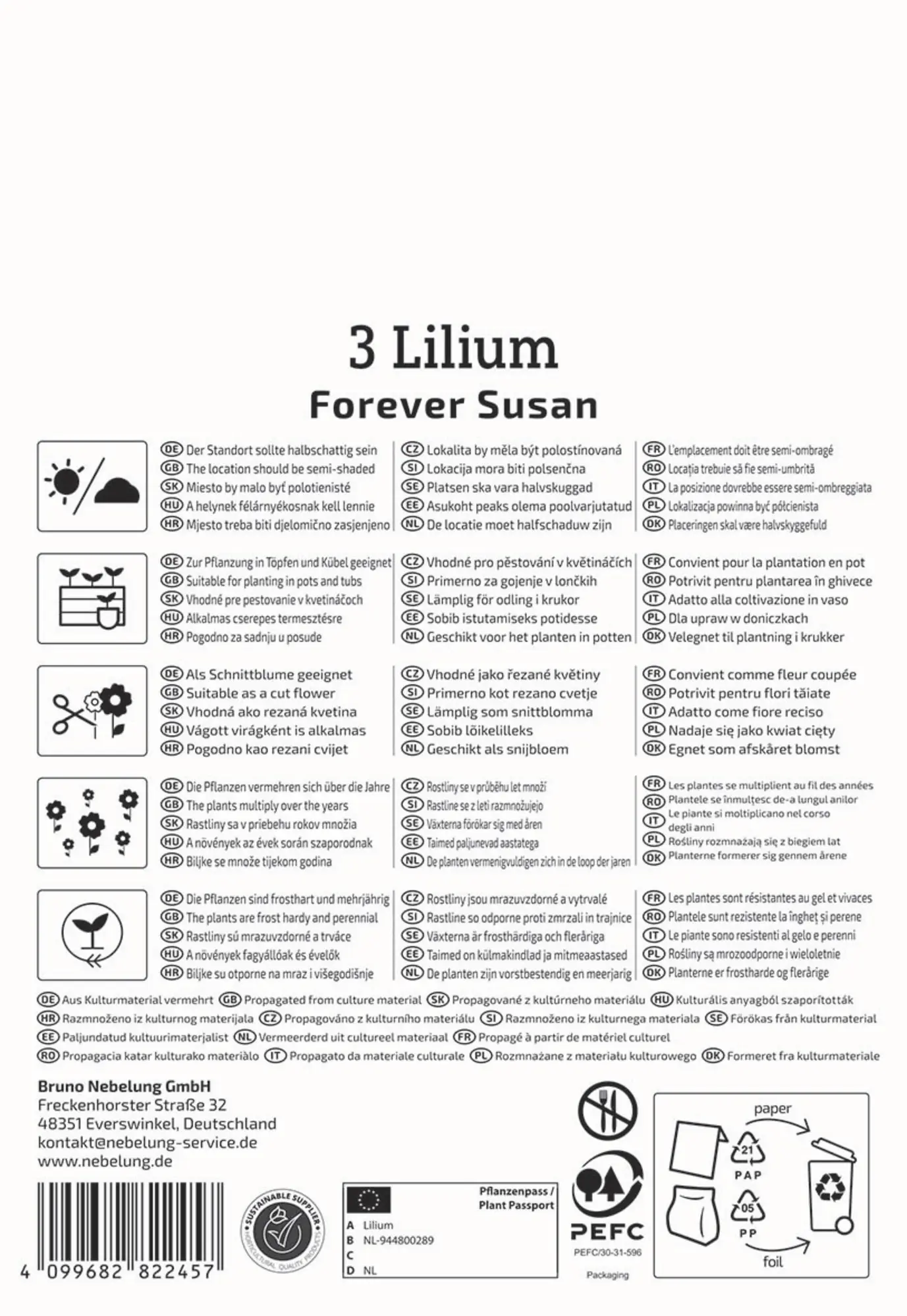 Kiepenkerl Frühjahrsblumenzwiebel Asiatische Lilie Forever Susan 3 Stück