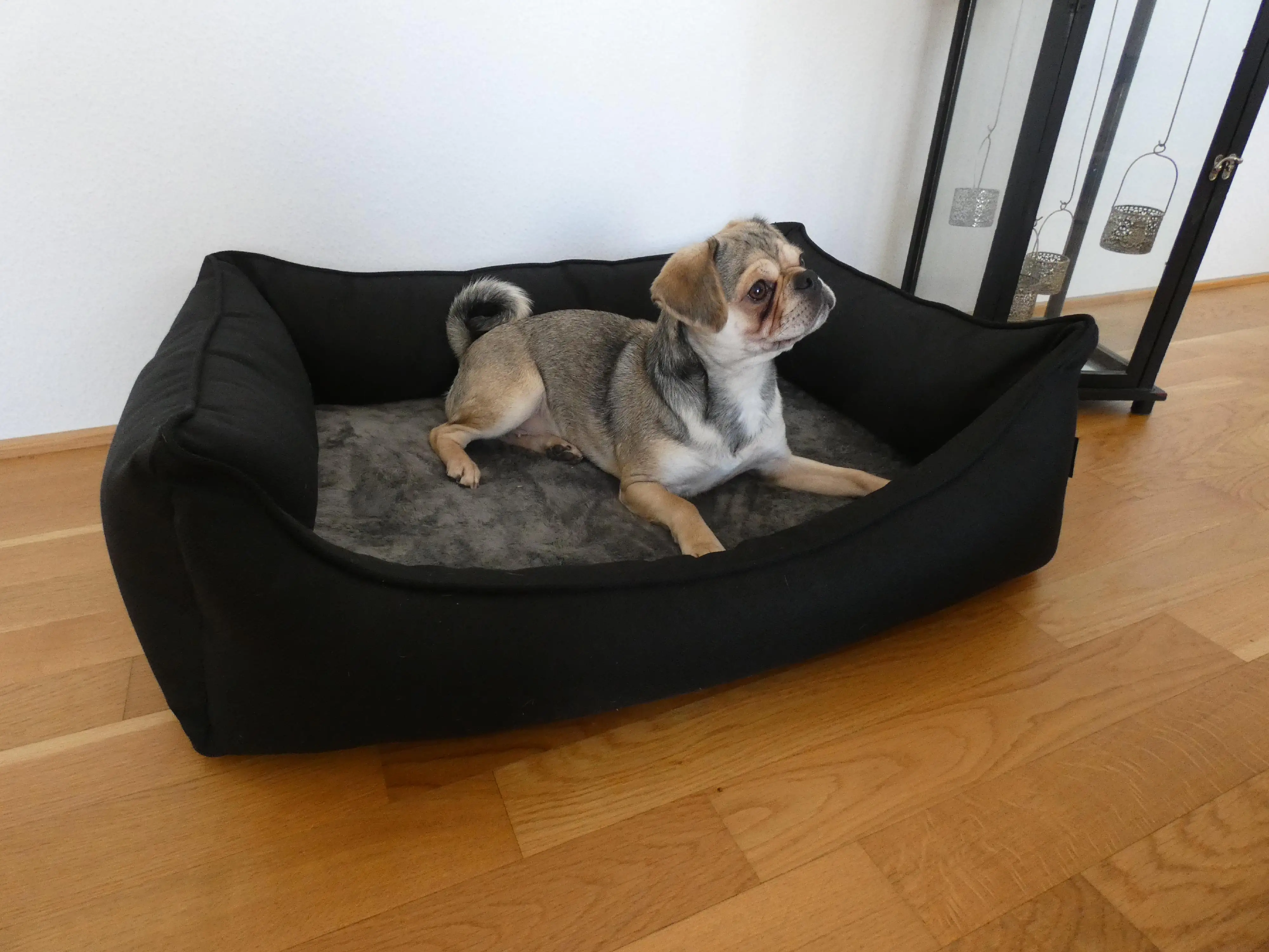 Lebon Orthopädisches Hundebett Noah Plus eckig schwarz Lebon Orthopädisches Hundebett Noah Plus eckig schwarz