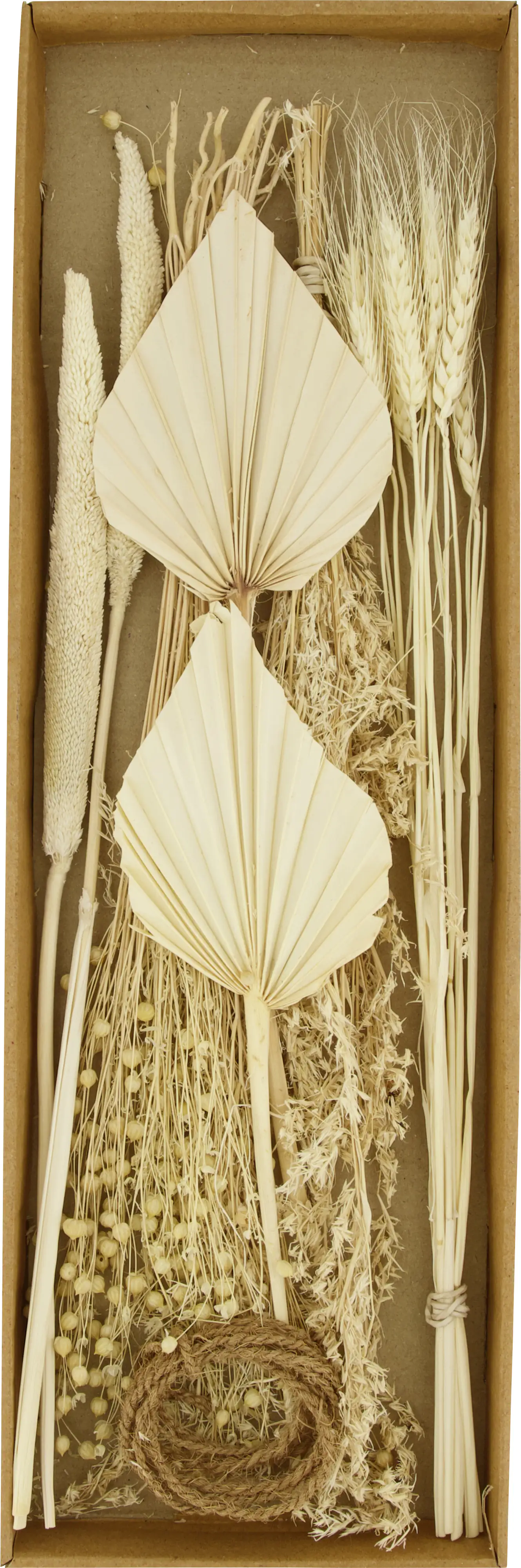 Dijk Blumenmischung getrocknet gebleicht 57 x 18 x 3 cm