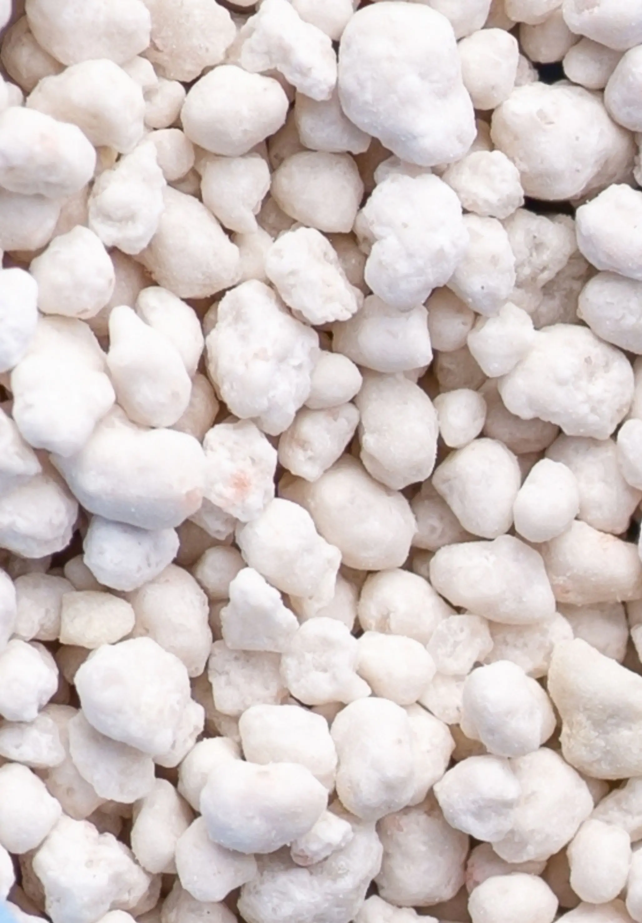 Rasetta Rasendünger 5 kg 