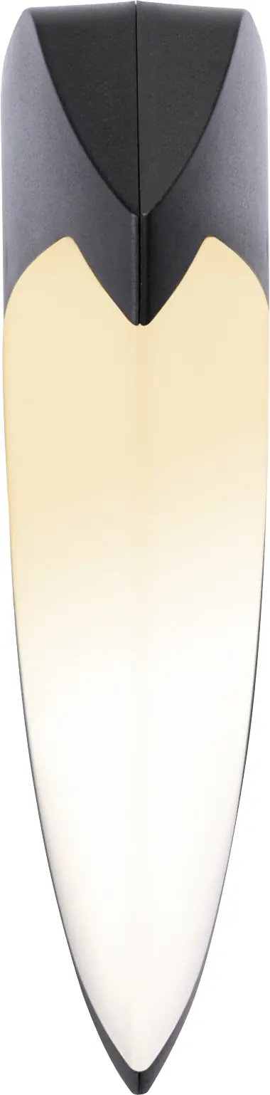 Paulmann LED Außenleuchte Ikosea insect friendly anthrazit 18,5 x 5cm Smart