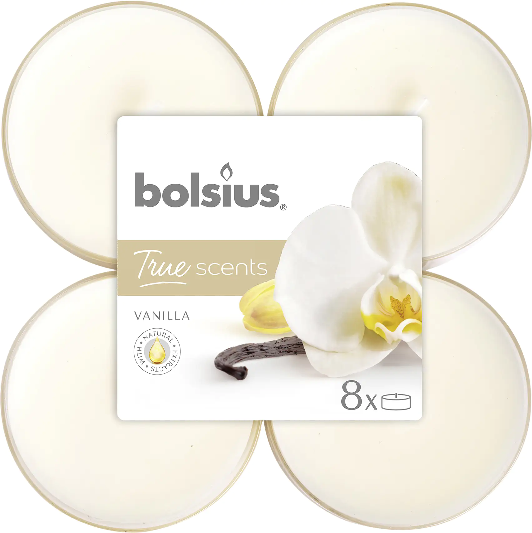 8717847137906_1856134 Bolsius Duftteelichter Maxi Vanille, Höhe 1,17 cm, Ø 4,5 cm, 6er Pack
