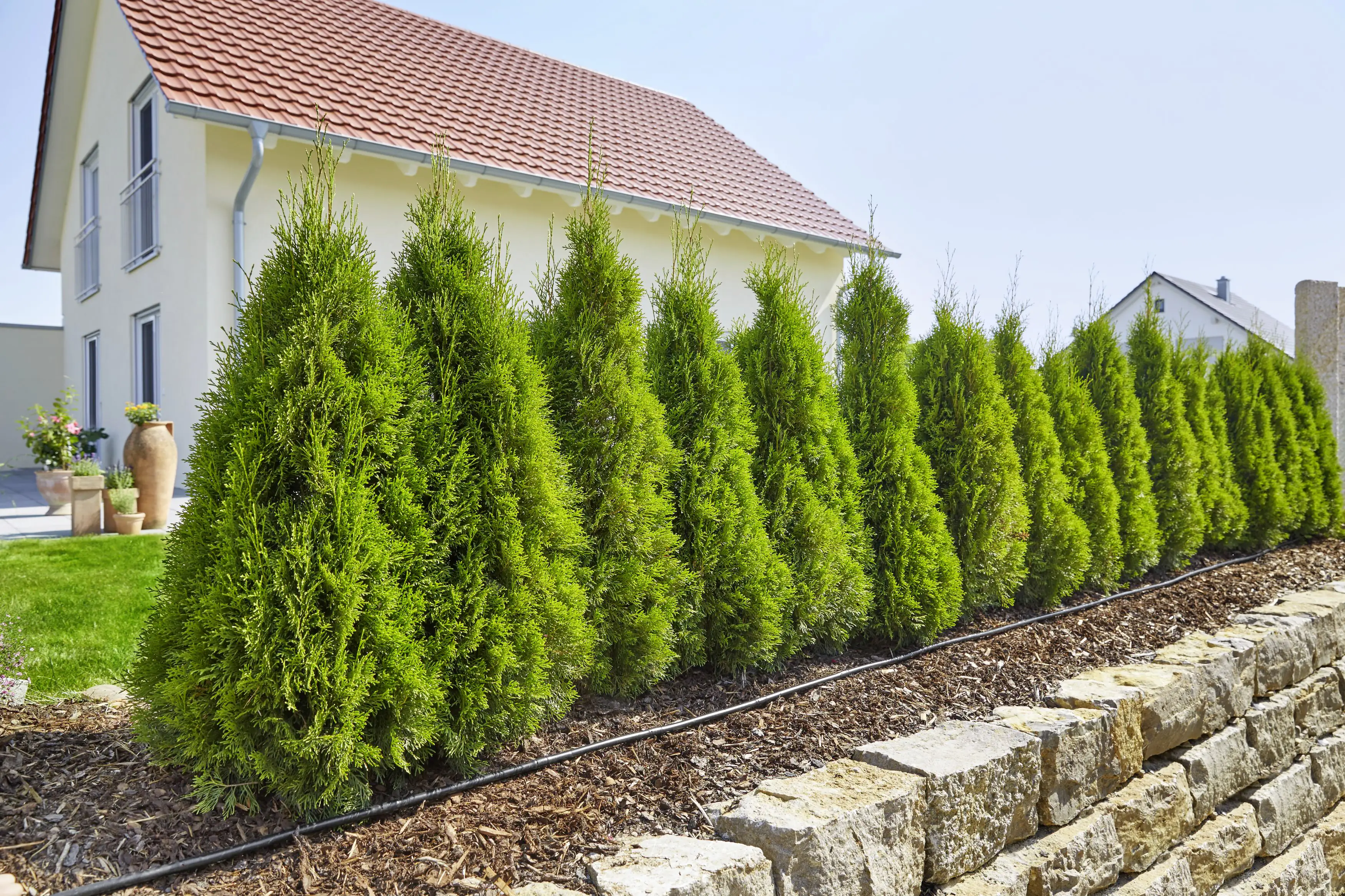 4078500018463_1147539 Gardena Micro Drip System Startset Pflanzreihe M