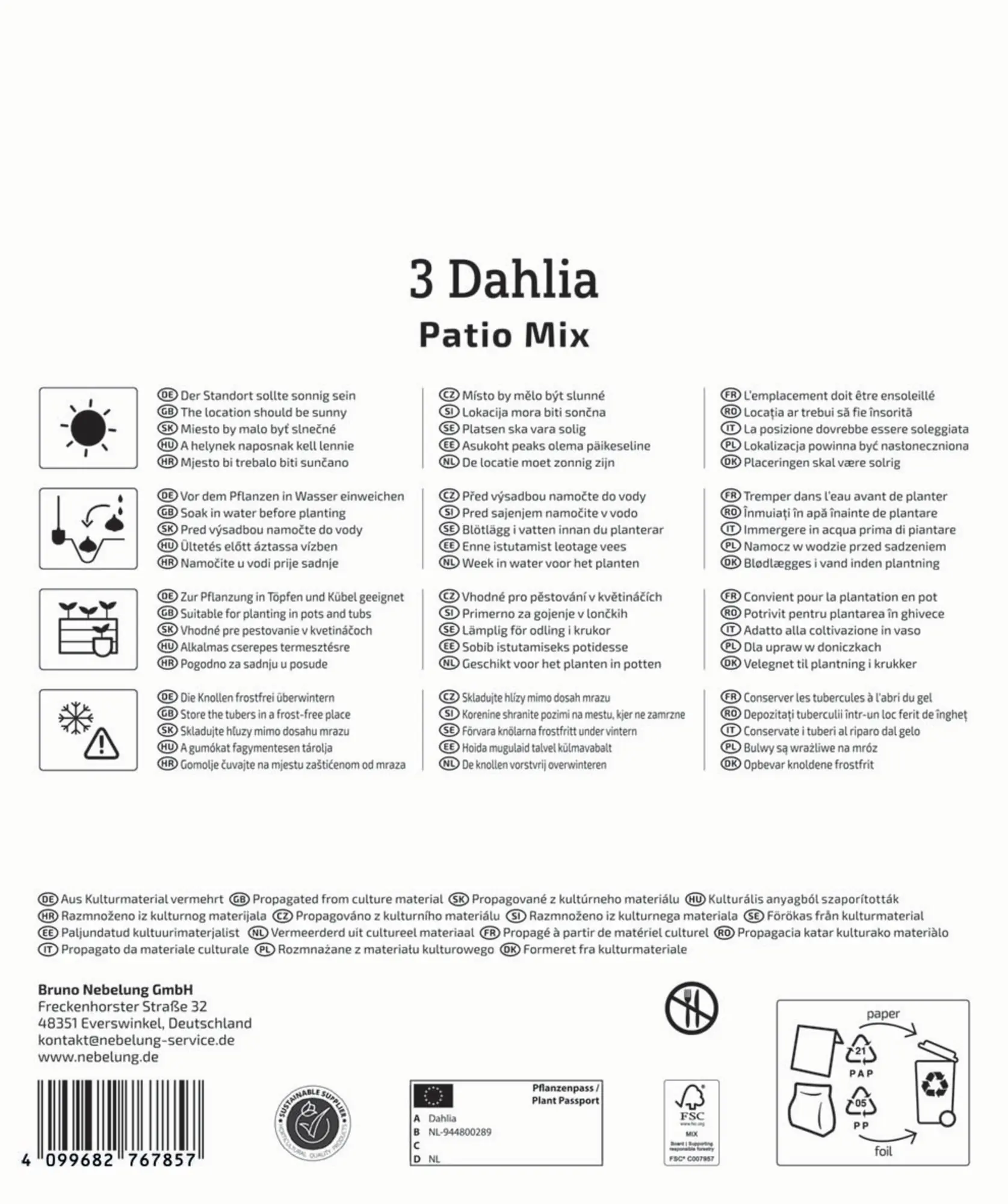 Kiepenkerl Mega-Pack Frühjahrsblumenzwiebel Zwerg-Dahlien Mischung 3 Stück