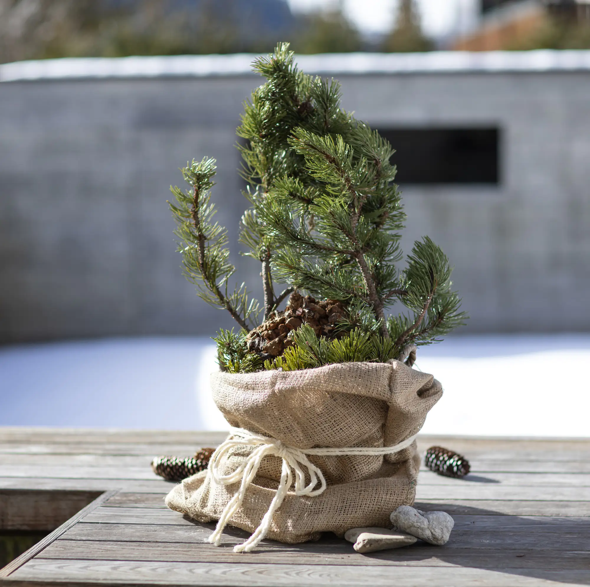 Windhager Jute-Sack 100 x 110 cm, natur