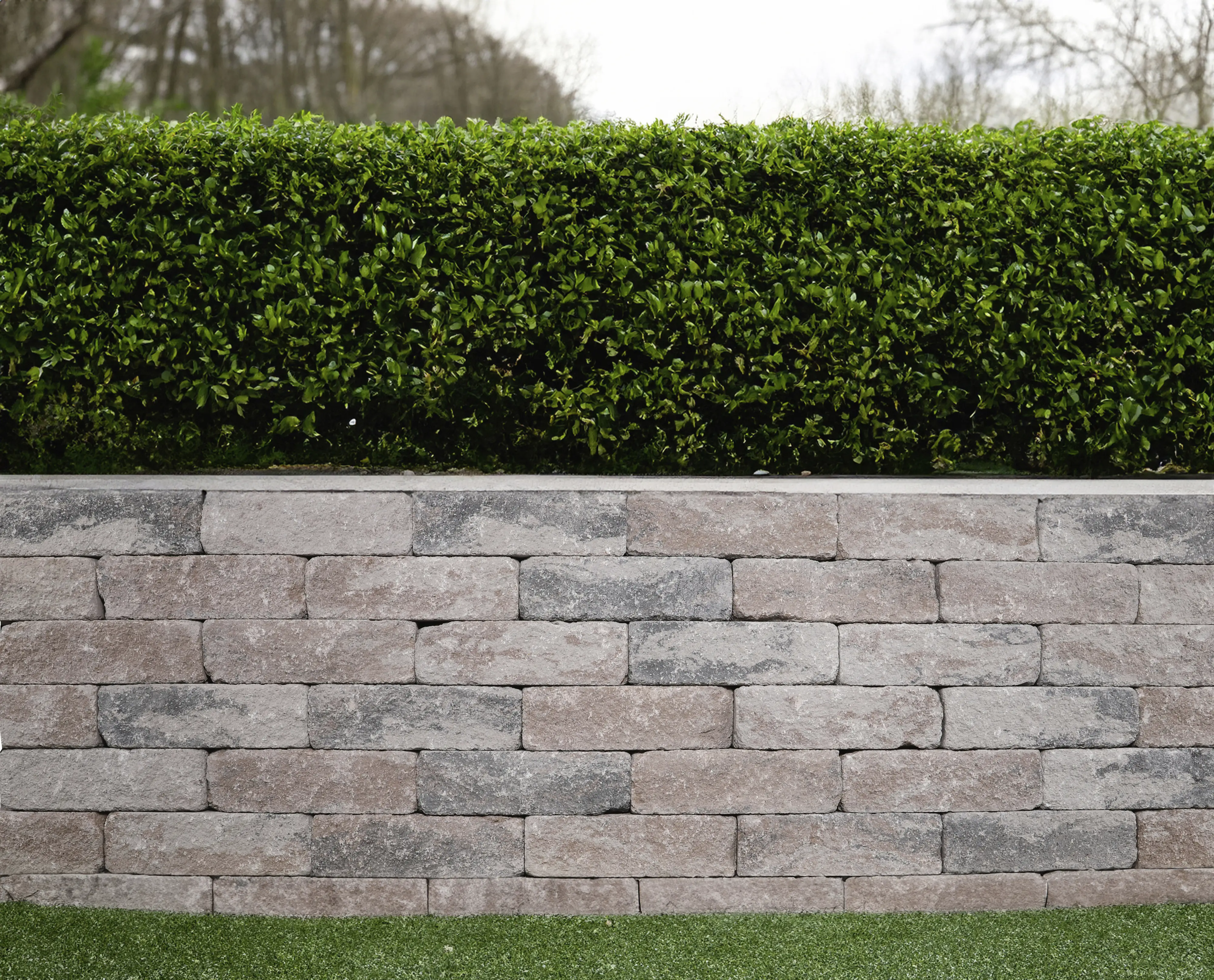 EHL Mauerstein Anzio Antik Light Normalstein 50 x 18 x 15 cm muschelkalk