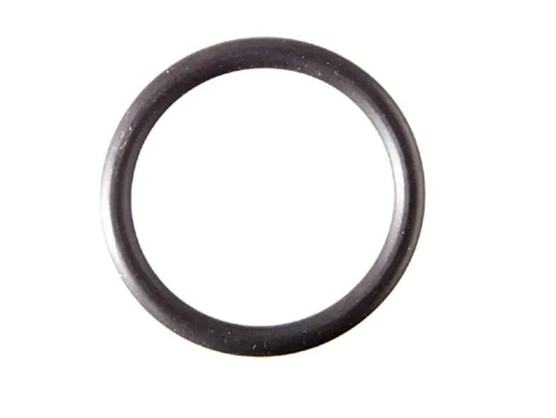 Grünbeck Dichtungssatz Für Feinfilter Typ FS1