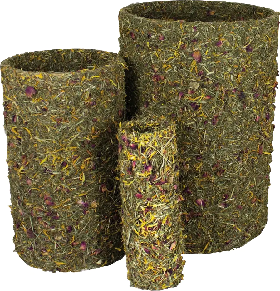 JR Frühlings-Rolle klein