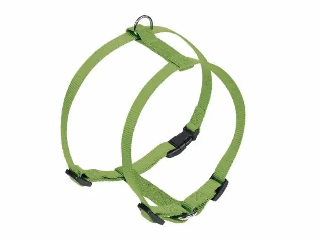 Nobby Hundegeschirr Classic lindgrün 