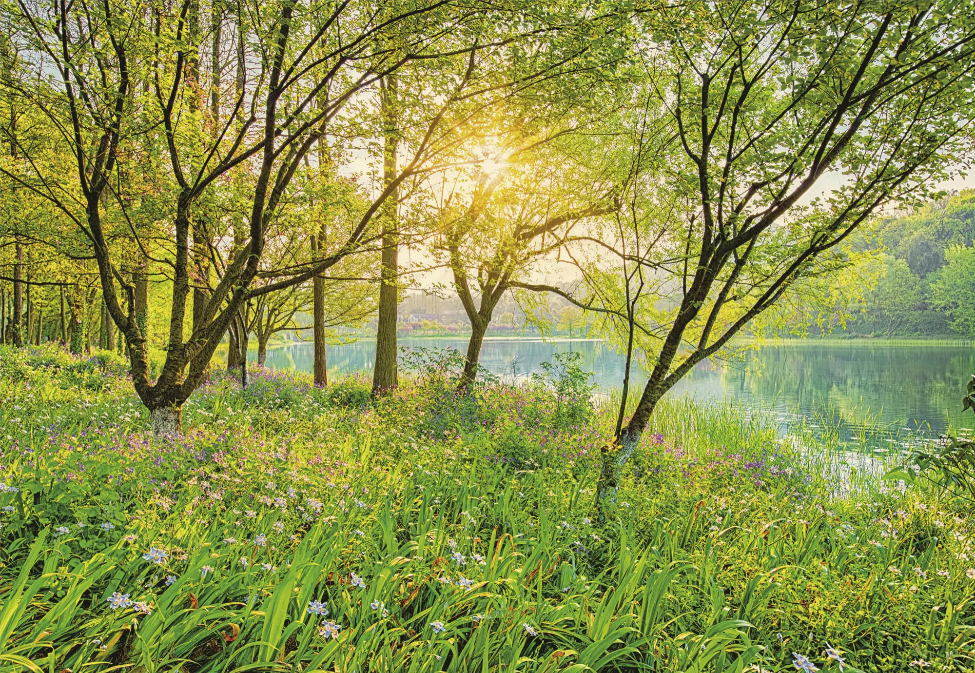 Komar Fototapete Spring Lake 368 x 254 cm Komar Fototapete Spring Lake 368 x 254 cm