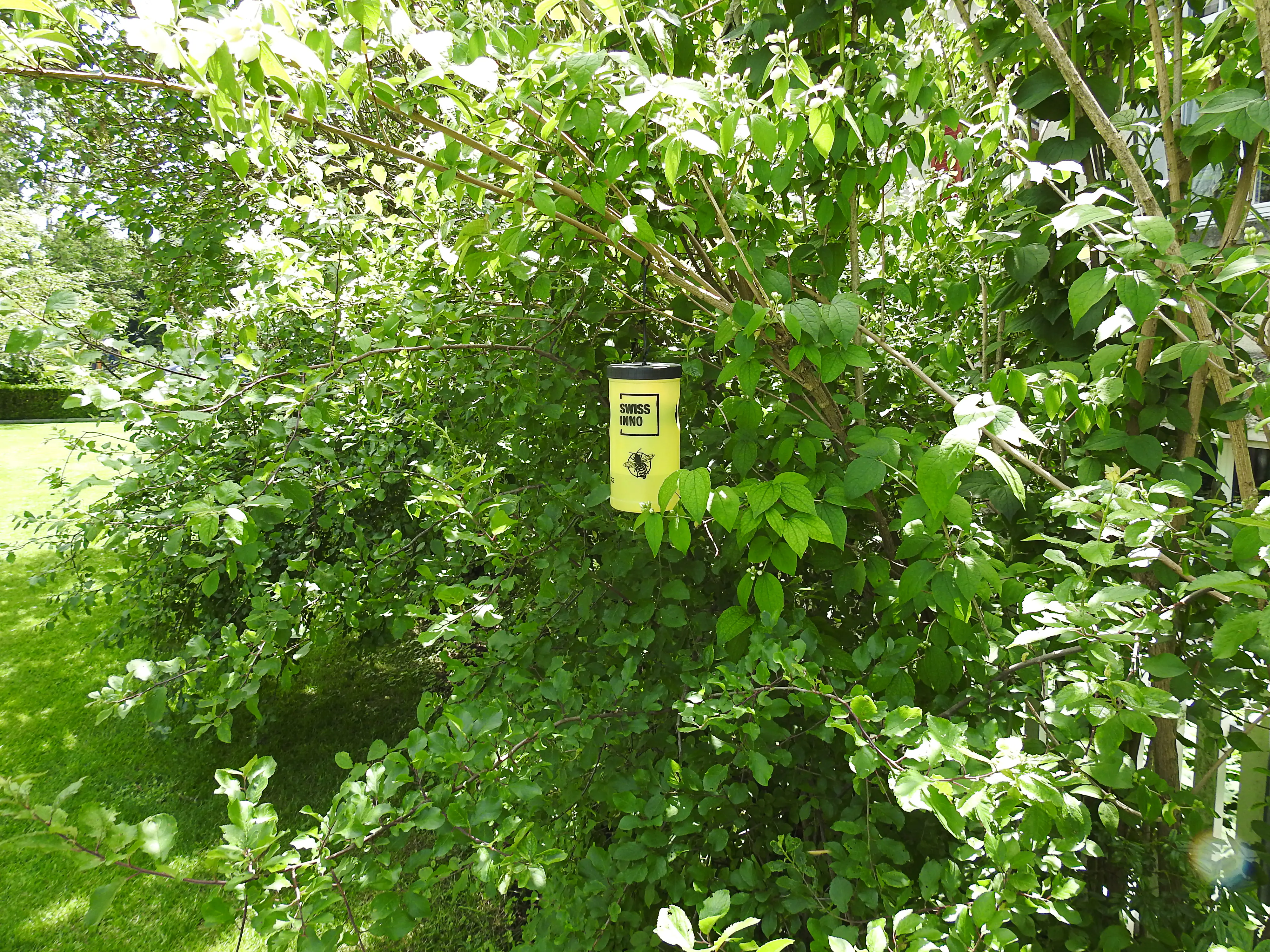 Swissinno Wespenfalle Set inkl. Lebensmittel-Köder