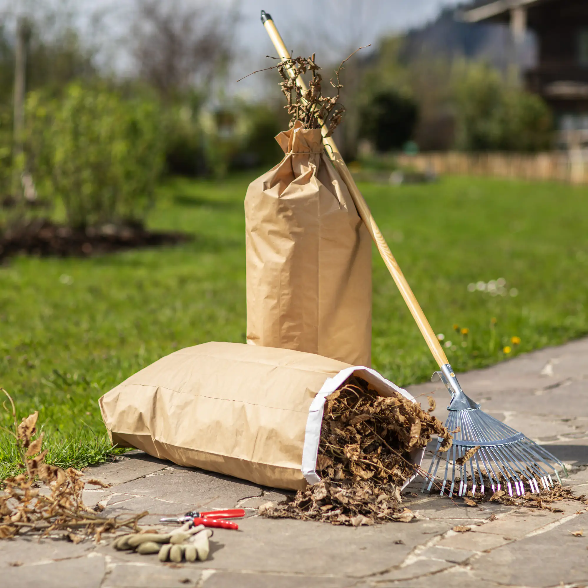 Windhager Abfallsack aus Papier 110 L, 5 Stück