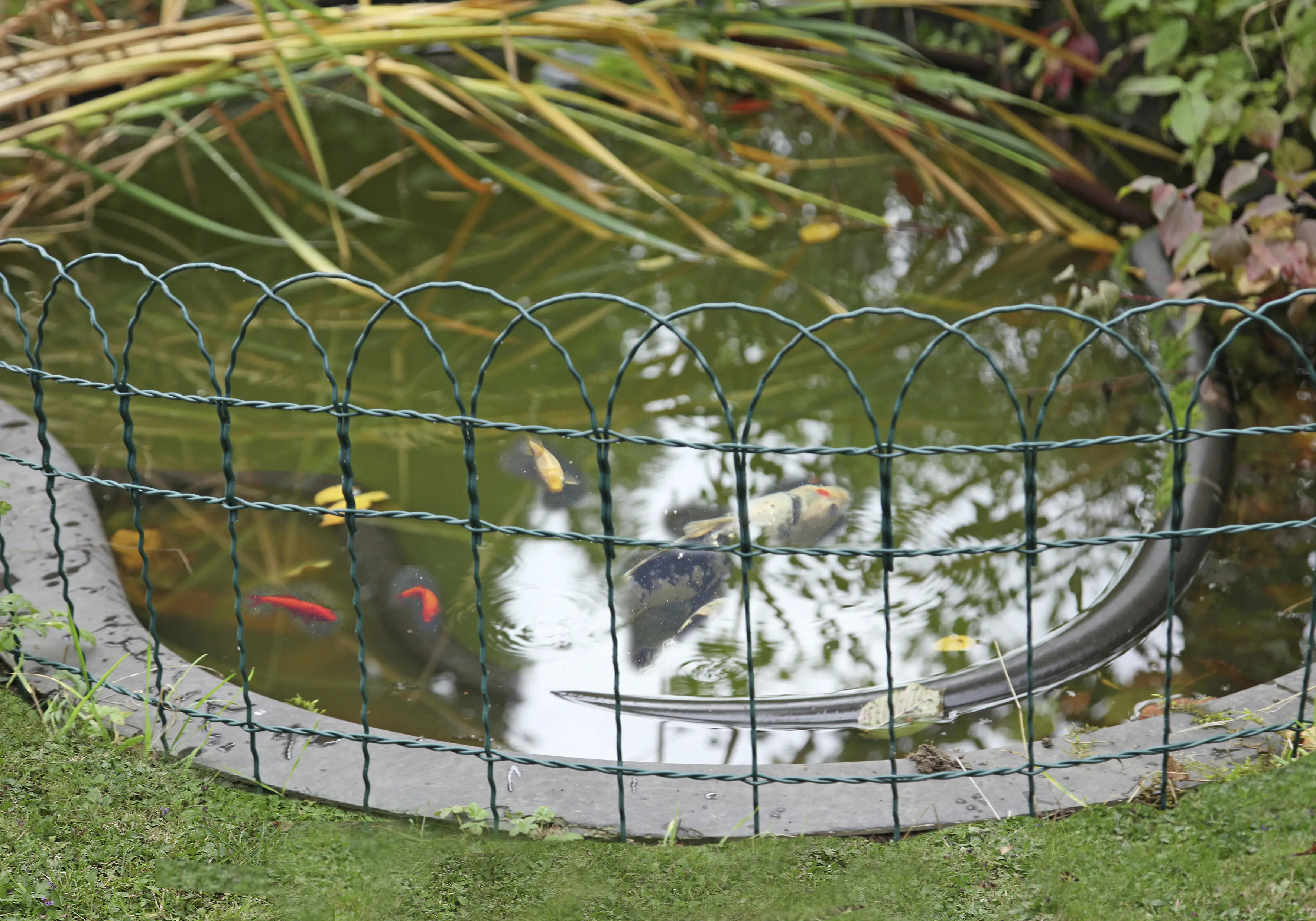 Floraworld Knotengeflecht-Zaun 10 m x 65 cm moosgrün