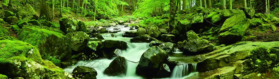 papermoon Vlies- Fototapete Digitaldruck 350 x 100 cm Soft Water Stream