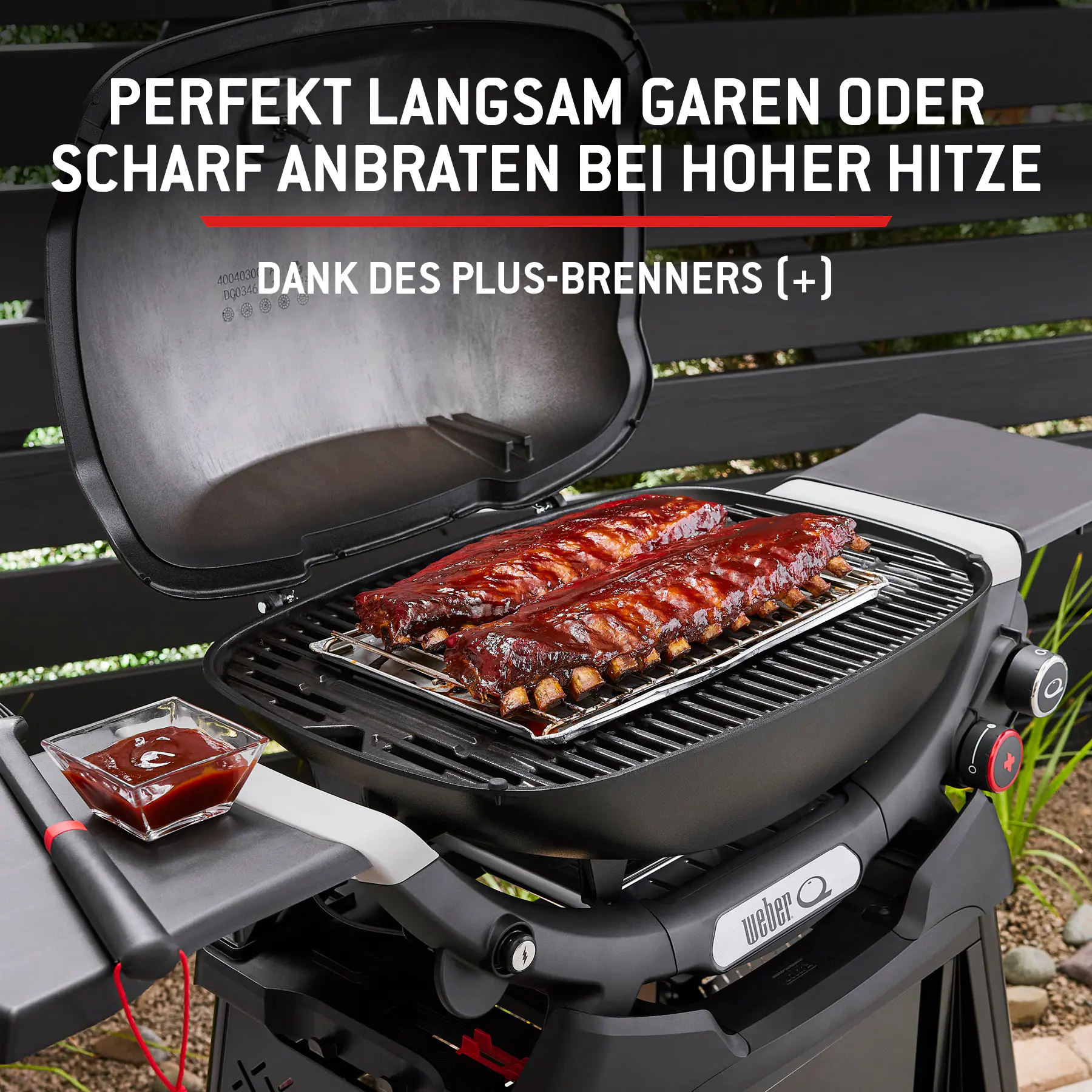 Weber Gasgrill Q2800N mit Rollwagen Grillfläche: 41 x 56 cm