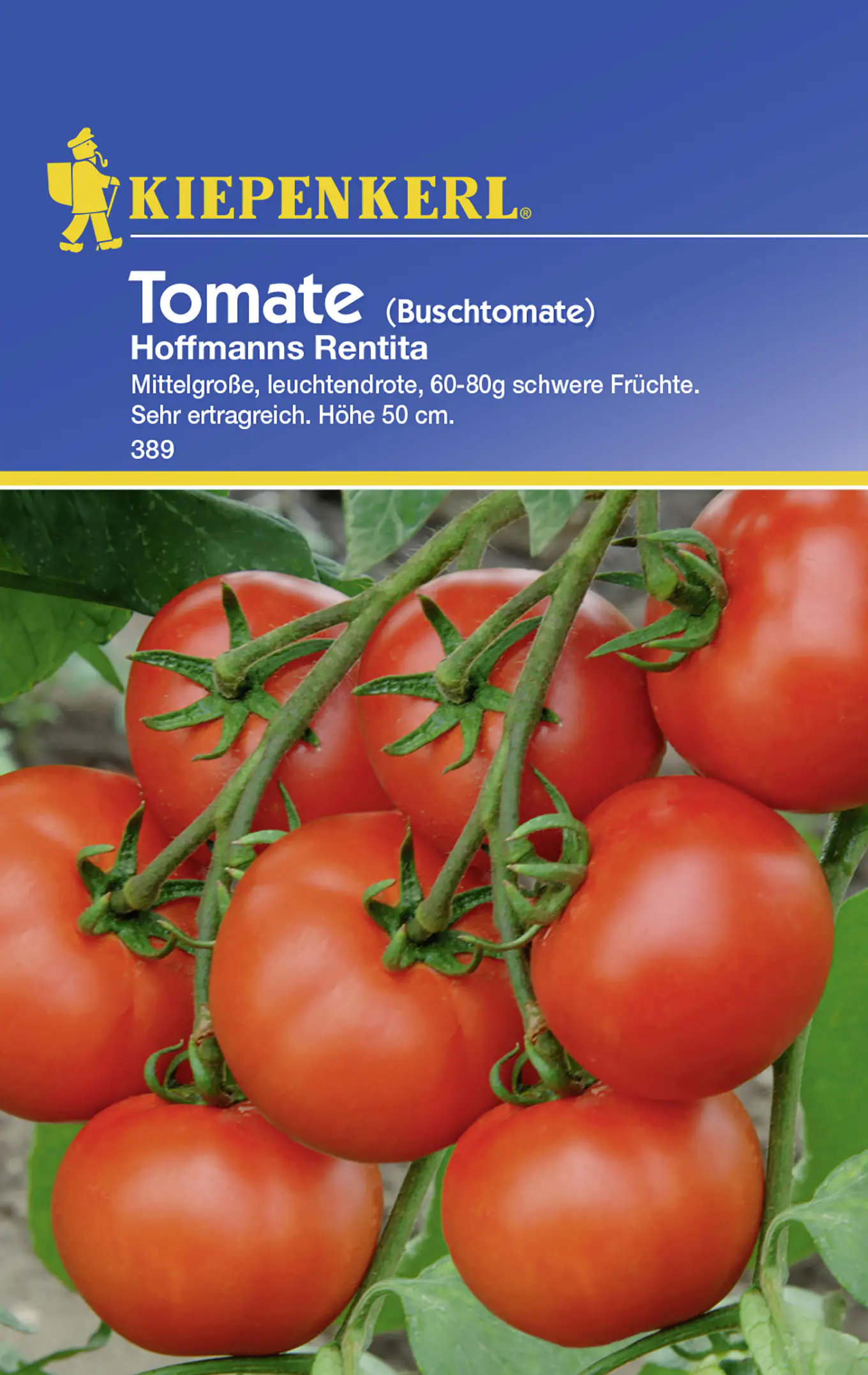 Kiepenkerl Tomate Hofmanns Rentita Solanum lycopersicum, Inhalt: ca. 15 Pflanzen Kiepenkerl Tomate Hofmanns Rentita Solanum lycopersicum, Inhalt: ca. 15 Pflanzen