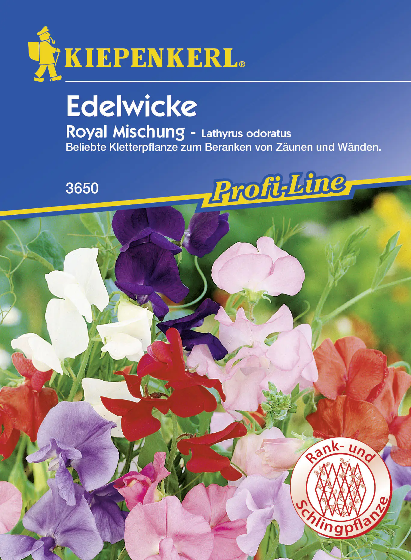 Kiepenkerl Edelwicken Royal Lathyrus odoratus, Inhalt ca. 50 Pflanzen