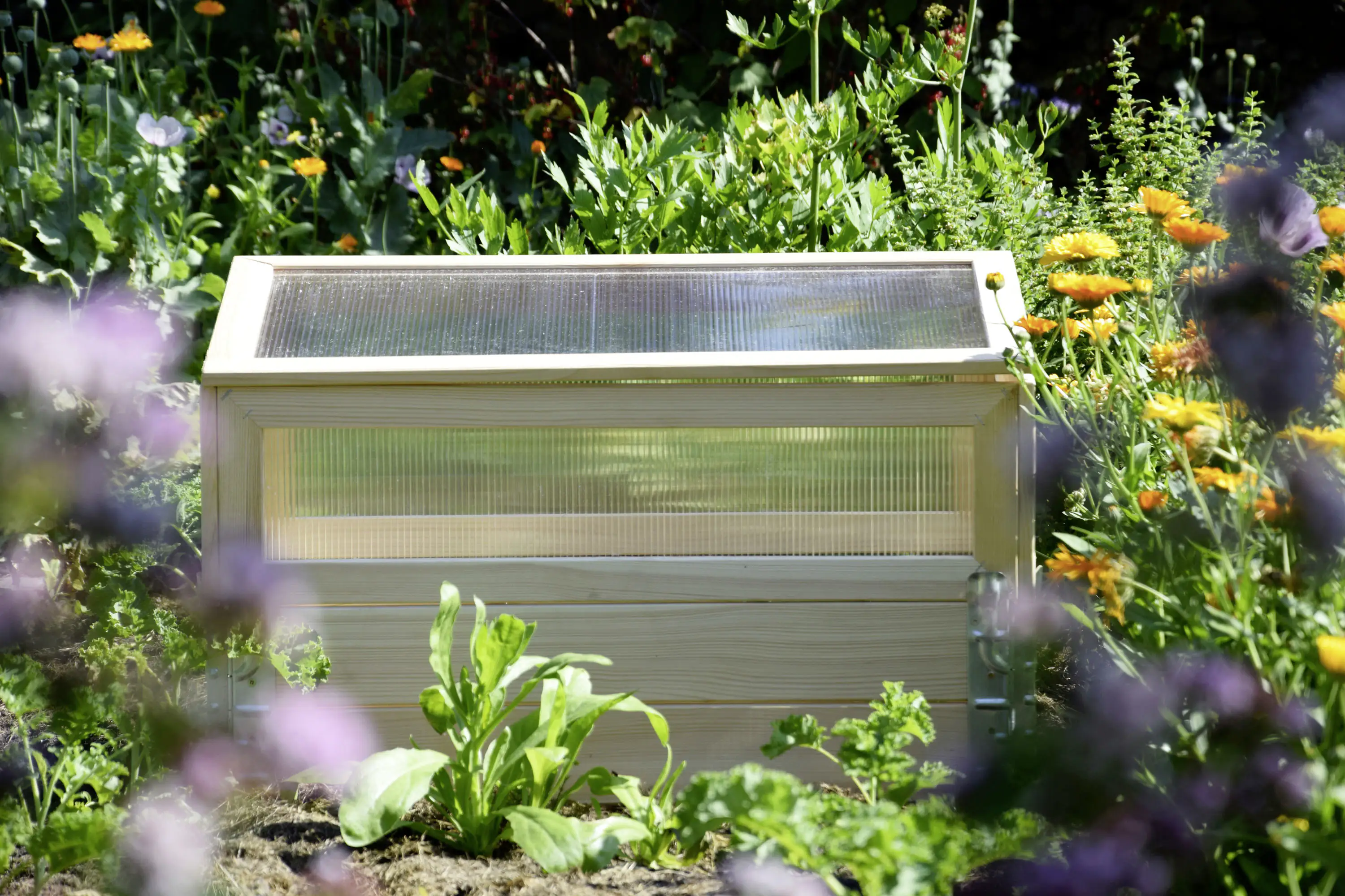 Dobar Frühbeet mit Untersatz transparent Kiefer 76 x 40 x 50 cm