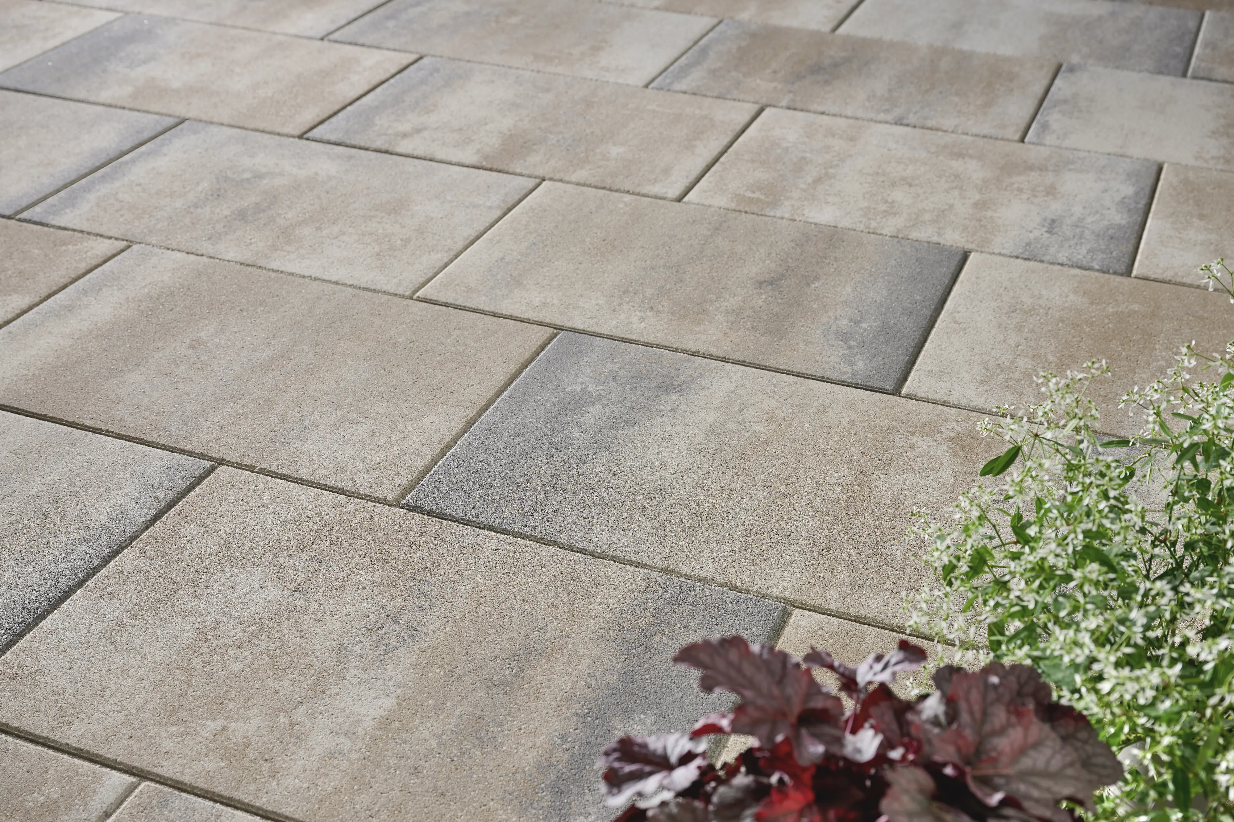 Kann Platte Bologna 60 x 40 x 5 cm jura-nuanciert grau