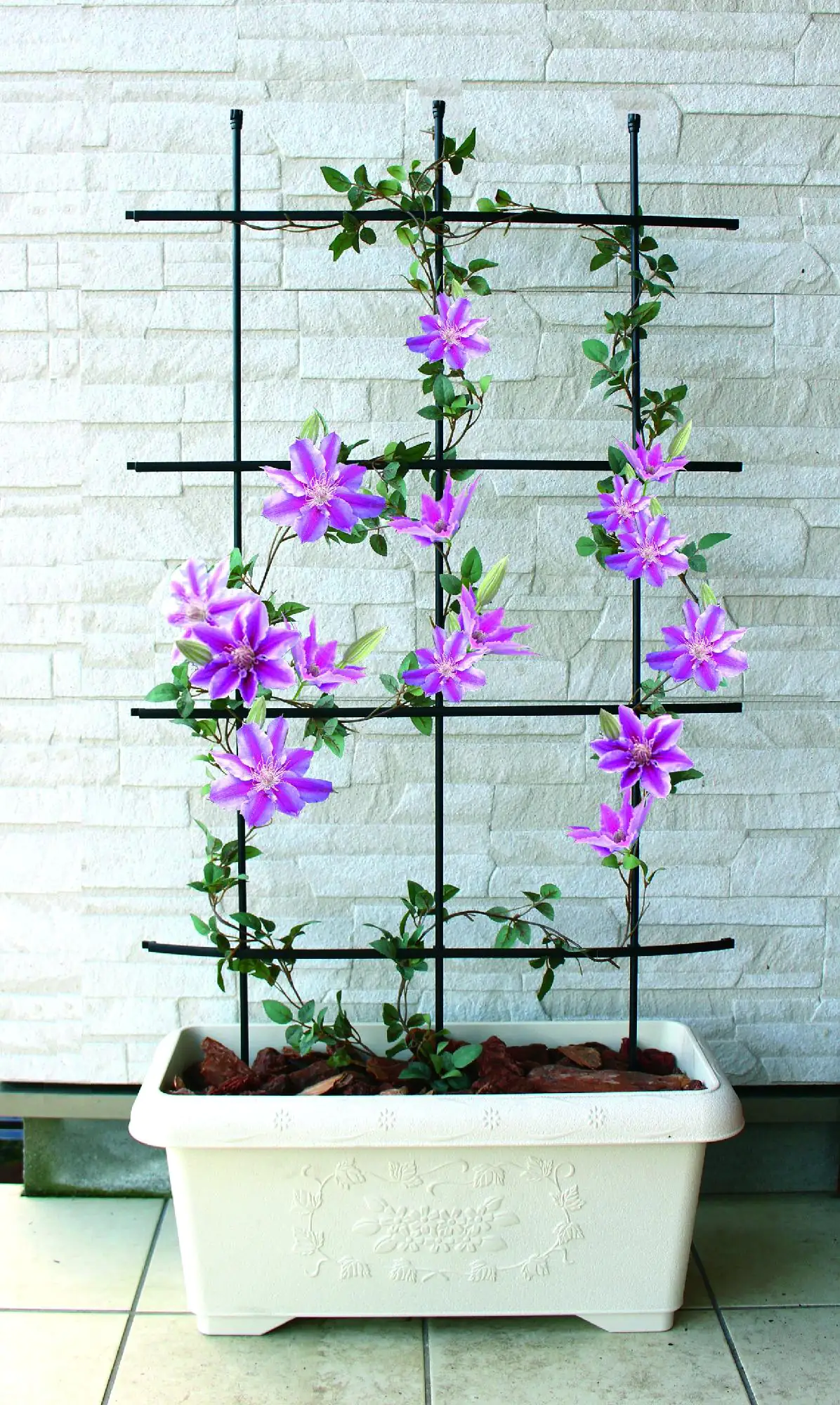 TrendLine Rankgitter 120 cm