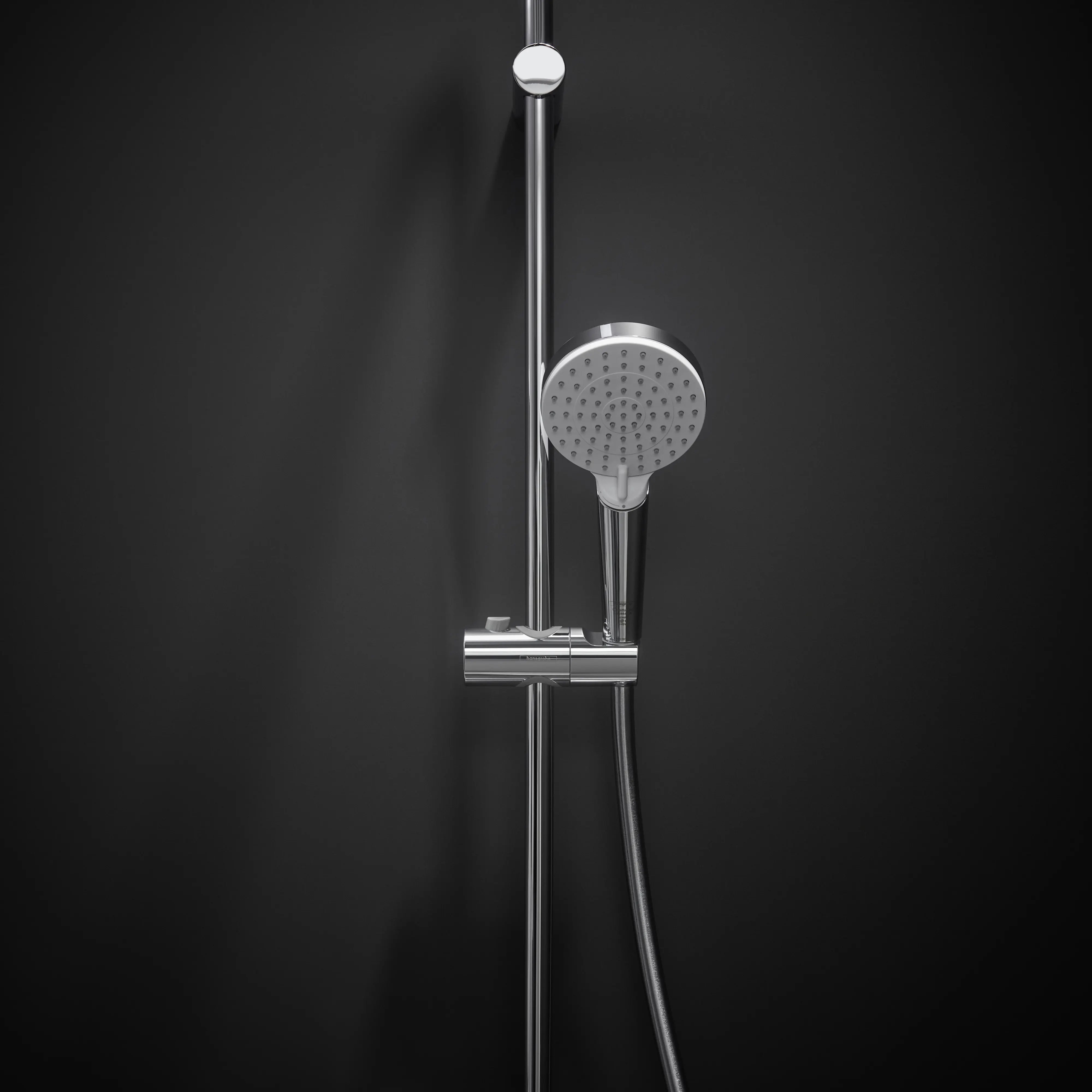 Hansgrohe Handbrause 2 Strahlarten Crometta Vario EcoSmart chrom-weiß