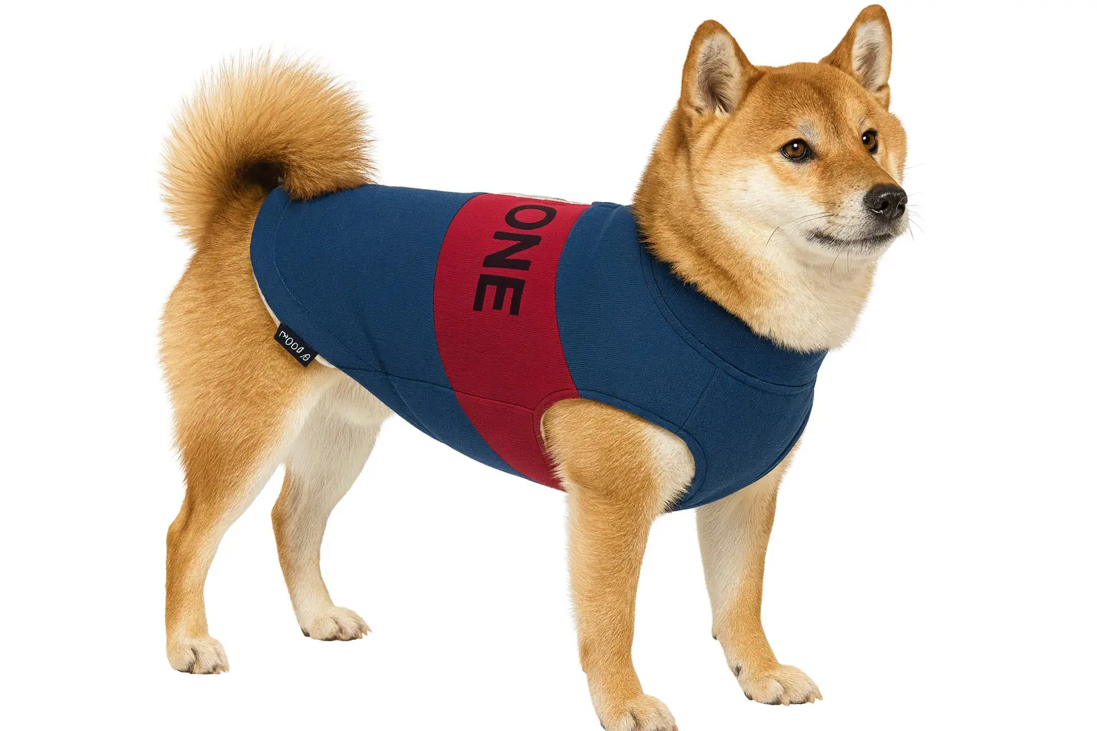 Nobby Hundemantel The One navy-rot