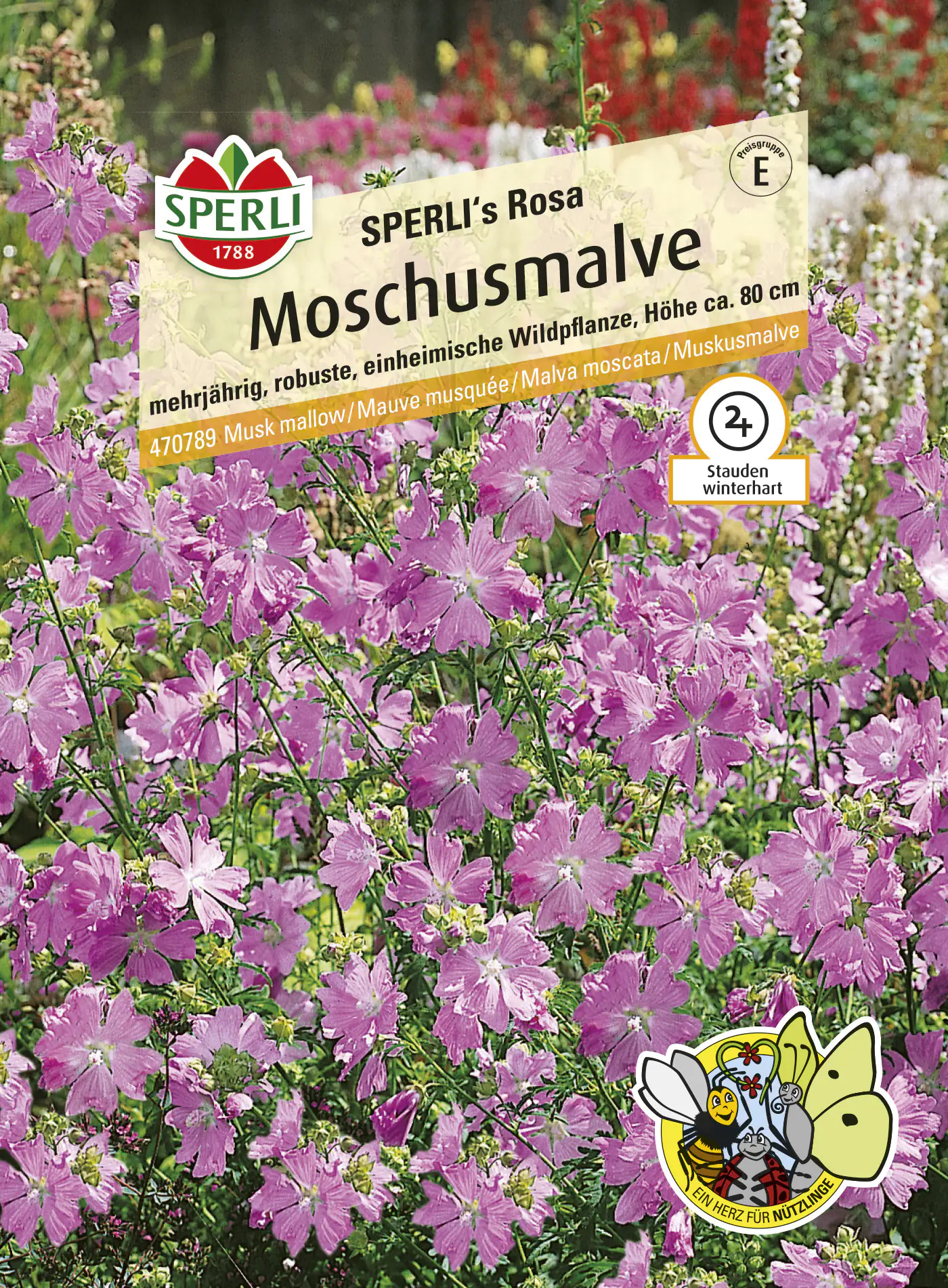 Sperli Moschusmalve SPERLI's Rosa