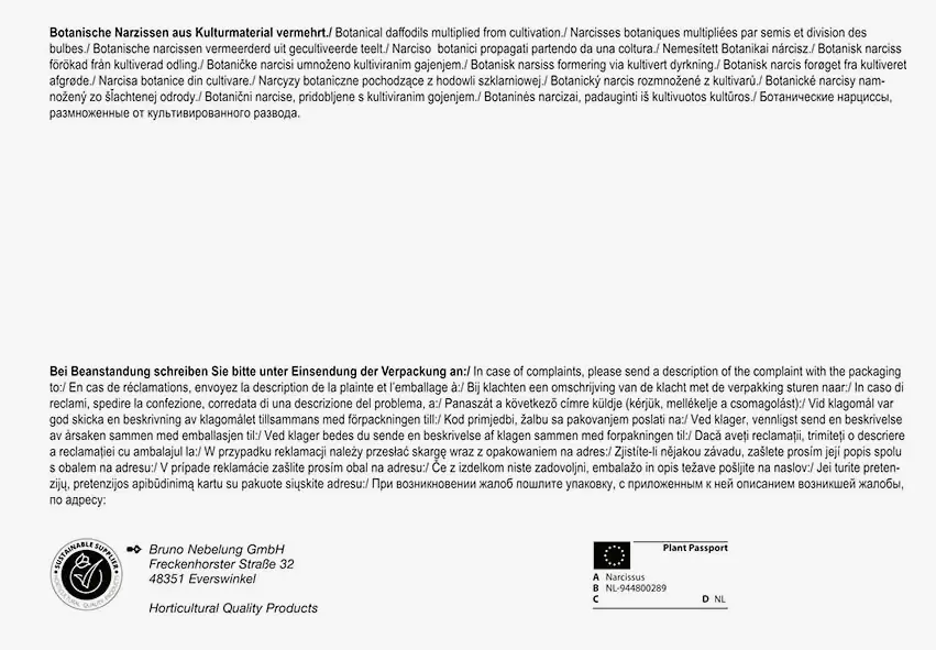 Pegasus BigBag Narzisse Tête à Tête Narcissus cyclamineus