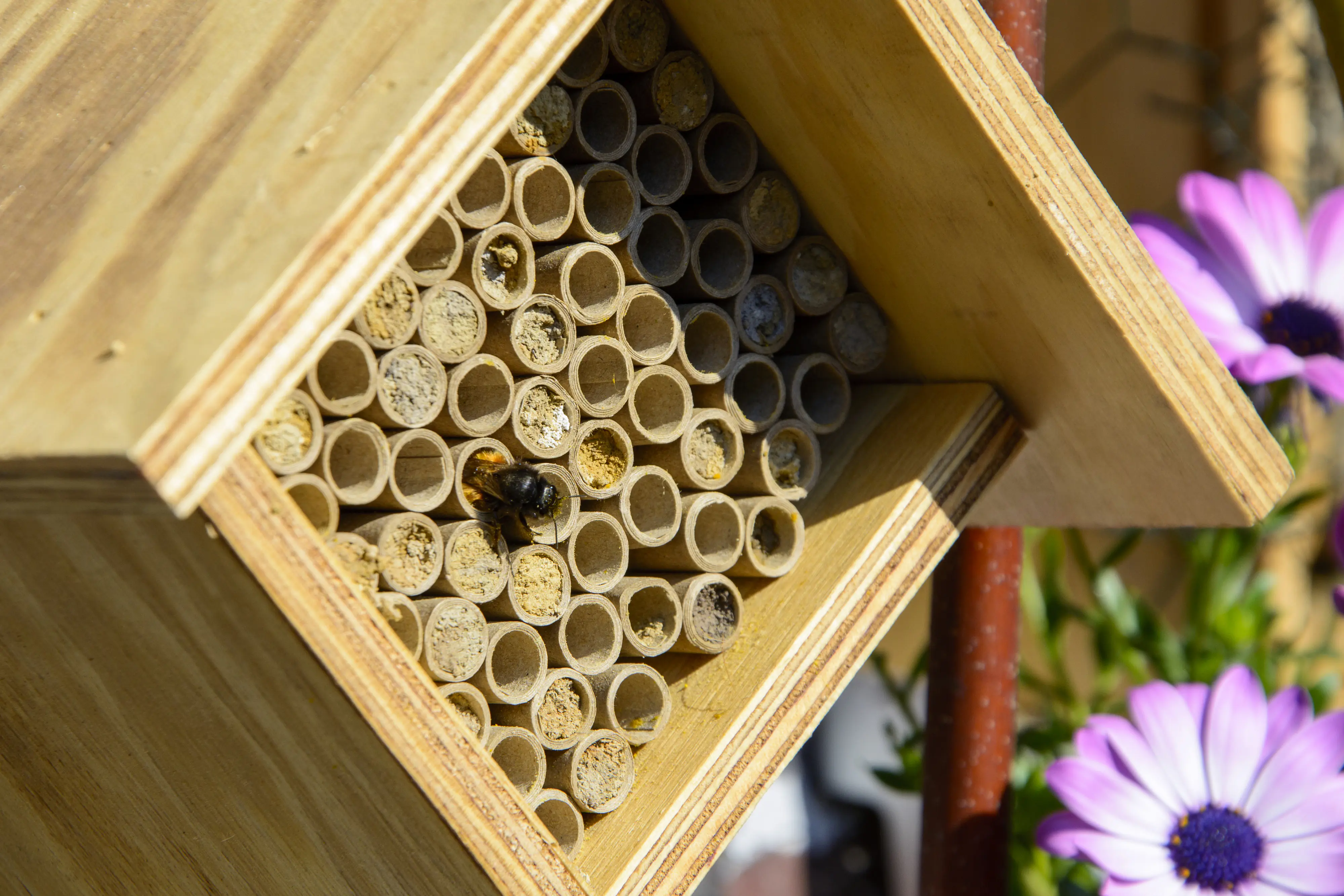 Dobar Bienenhaus Square 80 x 40 cm