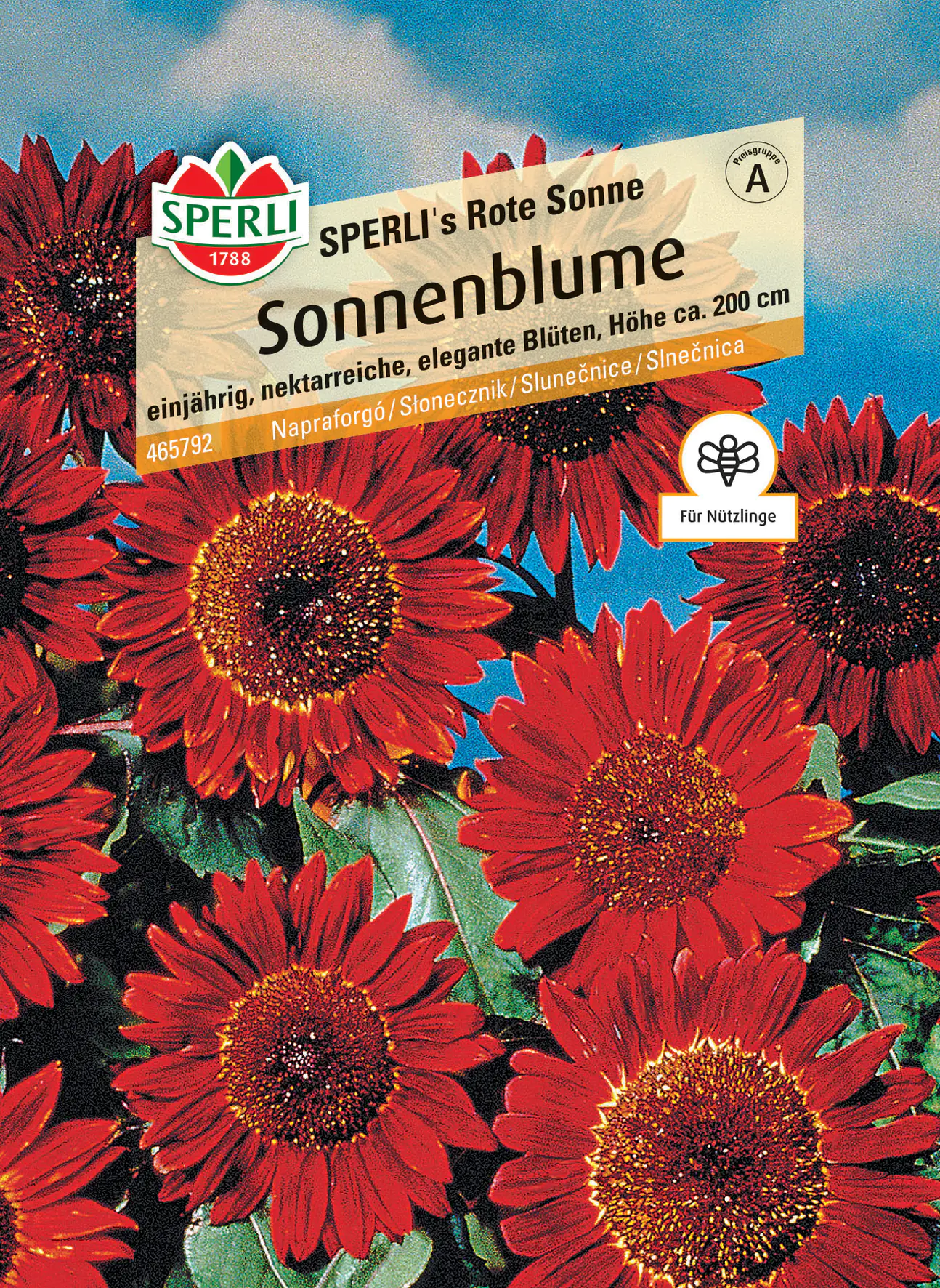 Sperli Sonnenblume SPERLI's Rote Sonne