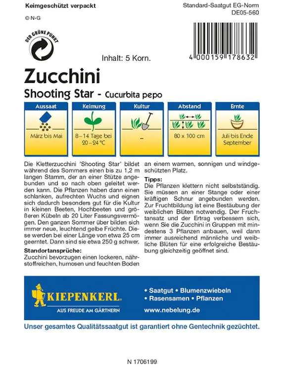 Kiepenkerl Profi-Line Zucchini Shooting Star Cucurbita pepo, Inhalt: 5 Korn