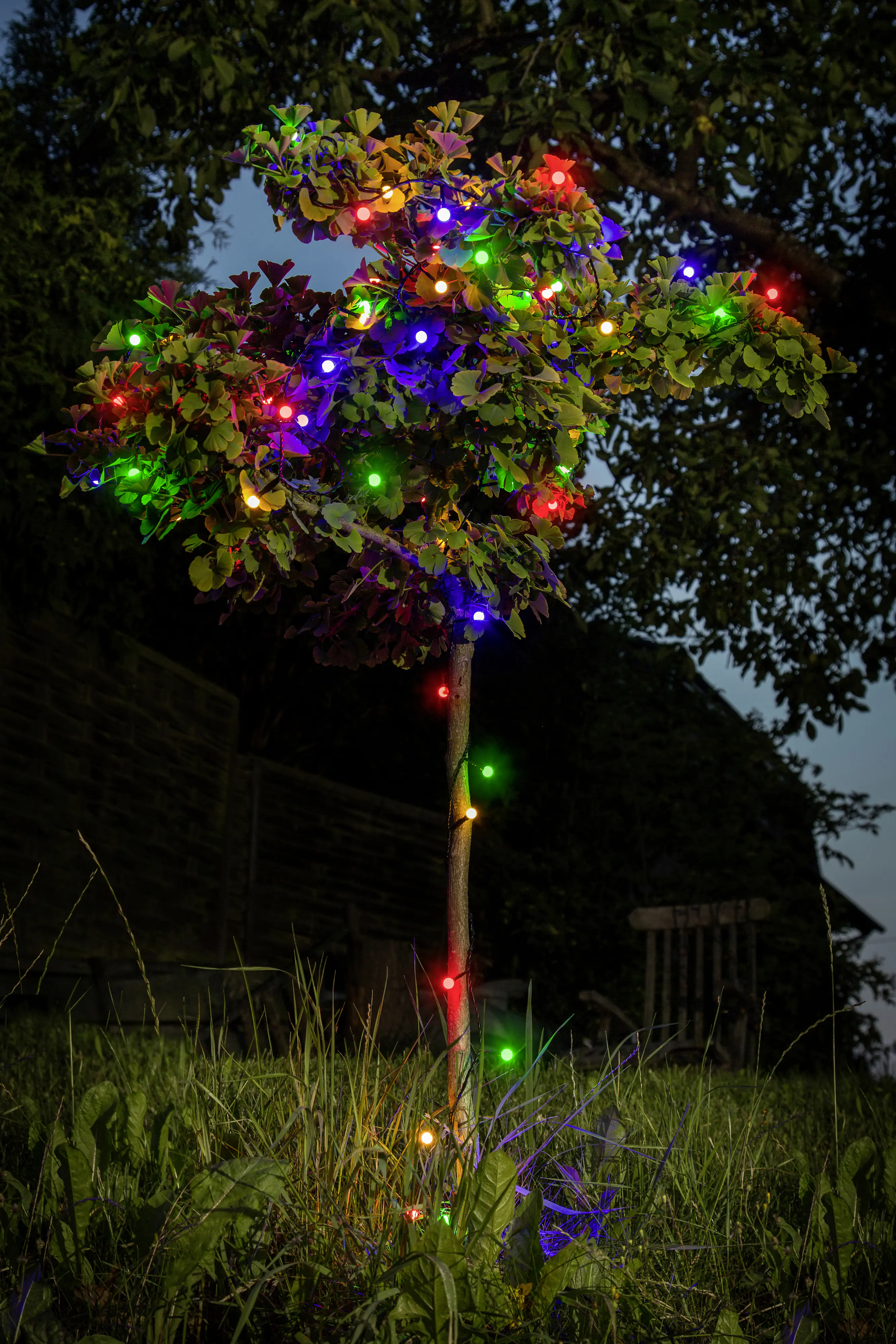 Konstsmide LED Globelichterkette 11,32 m bunt Konstsmide LED Globelichterkette 11,32 m bunt