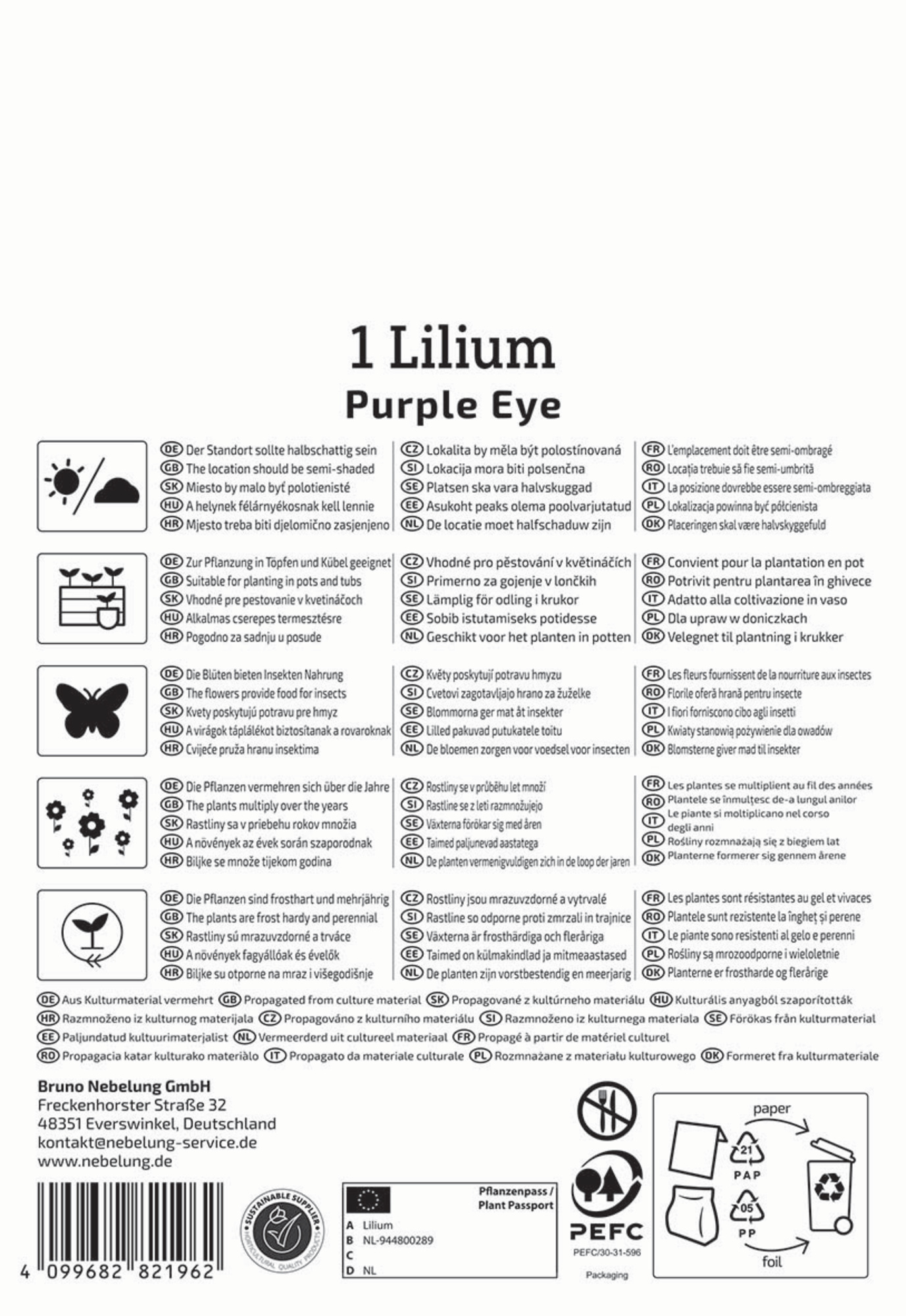 Kiepenkerl Profi-Line Frühjahrsblumenzwiebel Asiatische Lilie Purple Eye 1 Stück