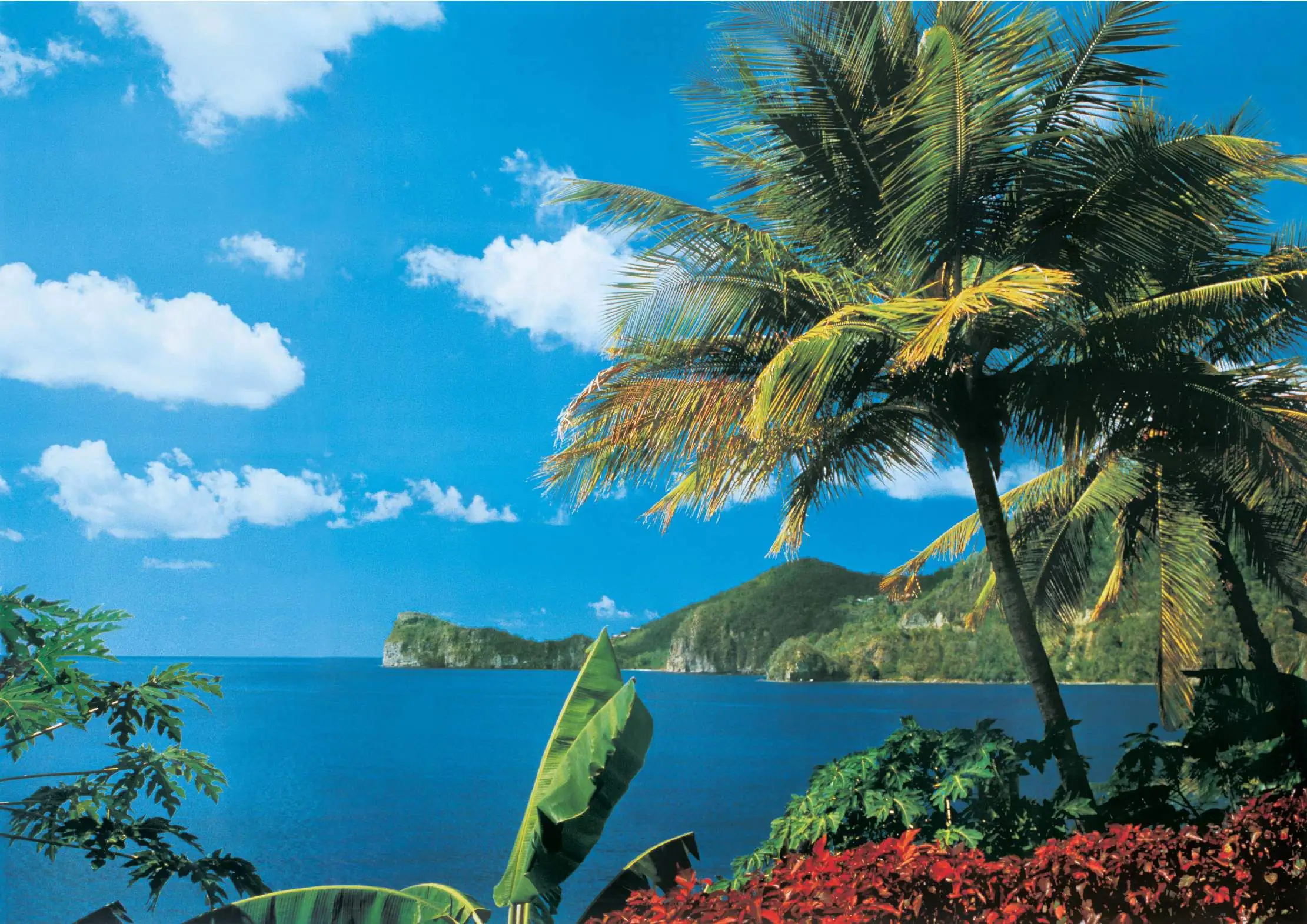 papermoon Vlies- Fototapete Digitaldruck 350 x 260 cm St. Lucia