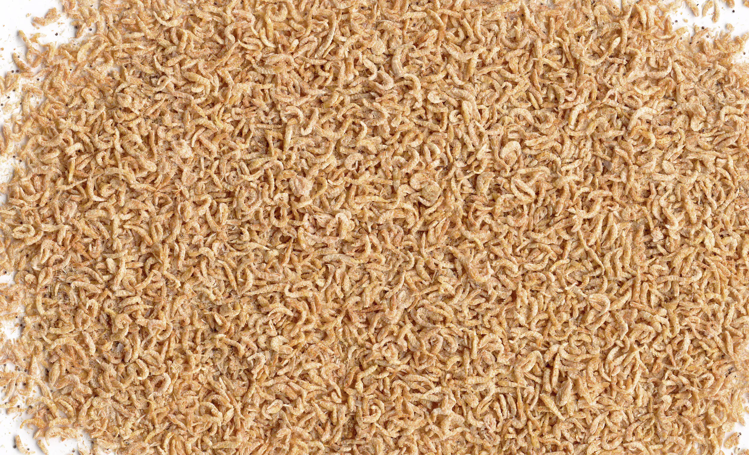 Tetra Delica Krill 100 ml