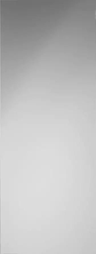 Türklebespiegel 39x98 cm