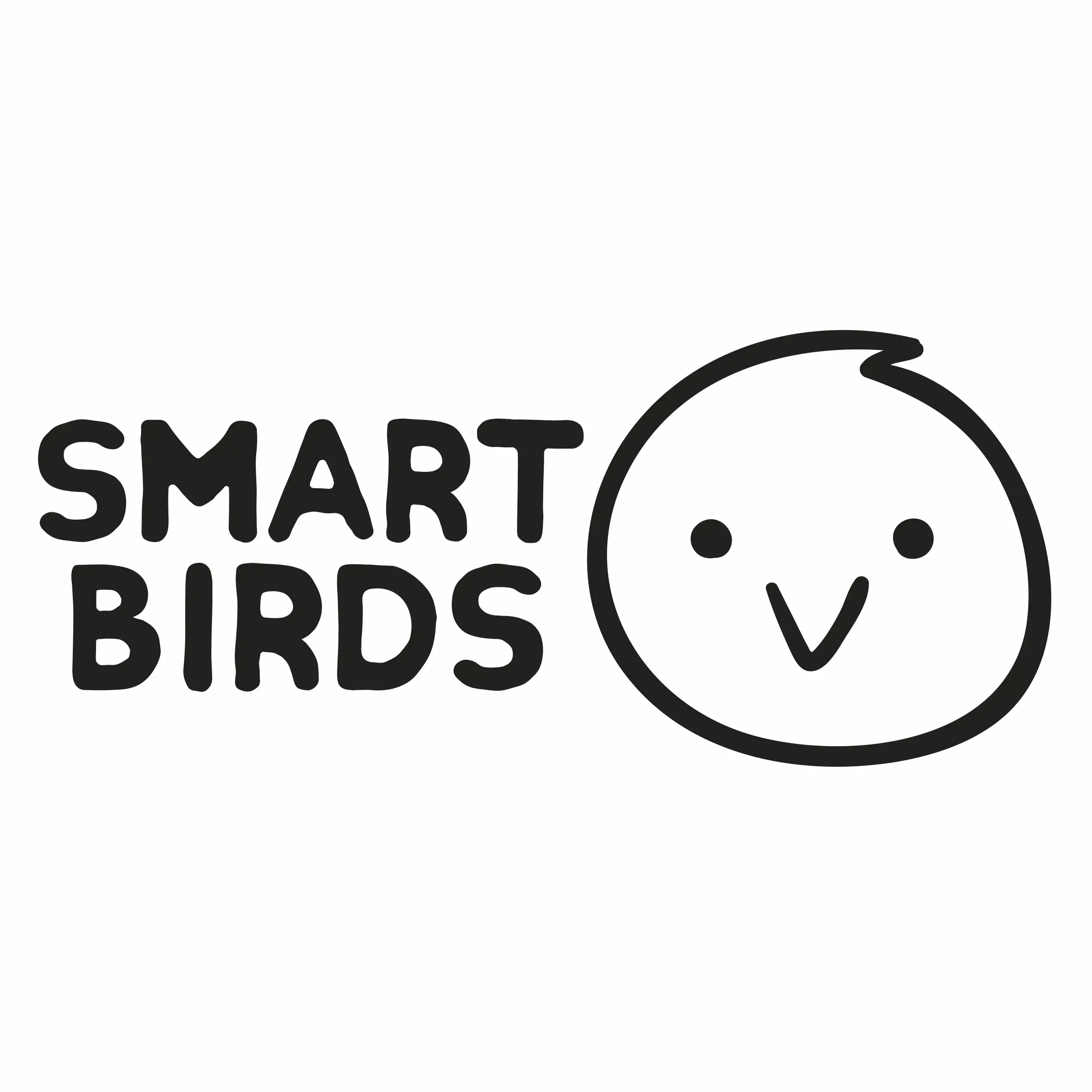 Swissinno Aufhängeset & Regulierer für Vogelfutterhäuser Davos & Lucerne