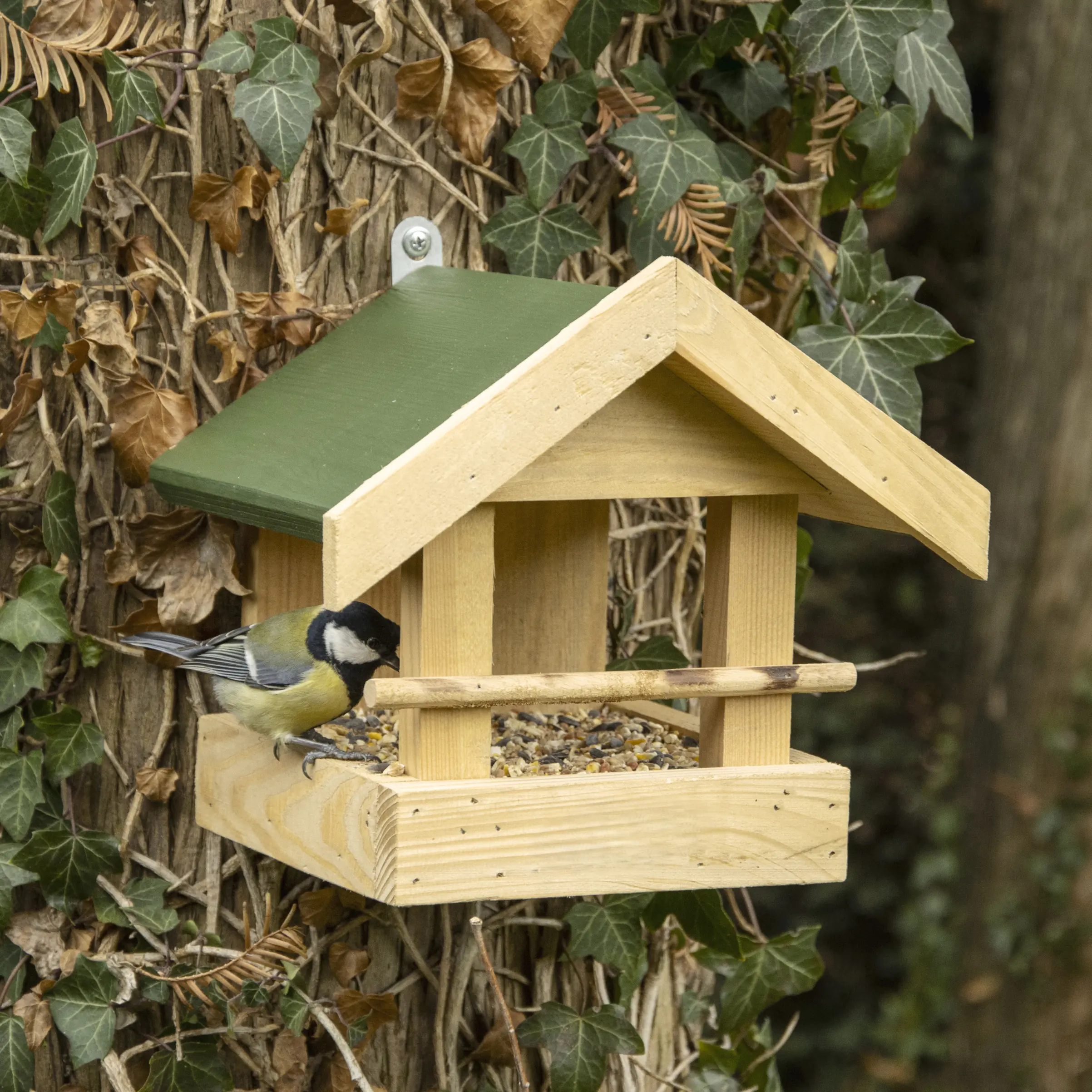 CJ Wildlife Futterhaus Memphis natur/grün LxBxH: 23,5x20x21,2 cm