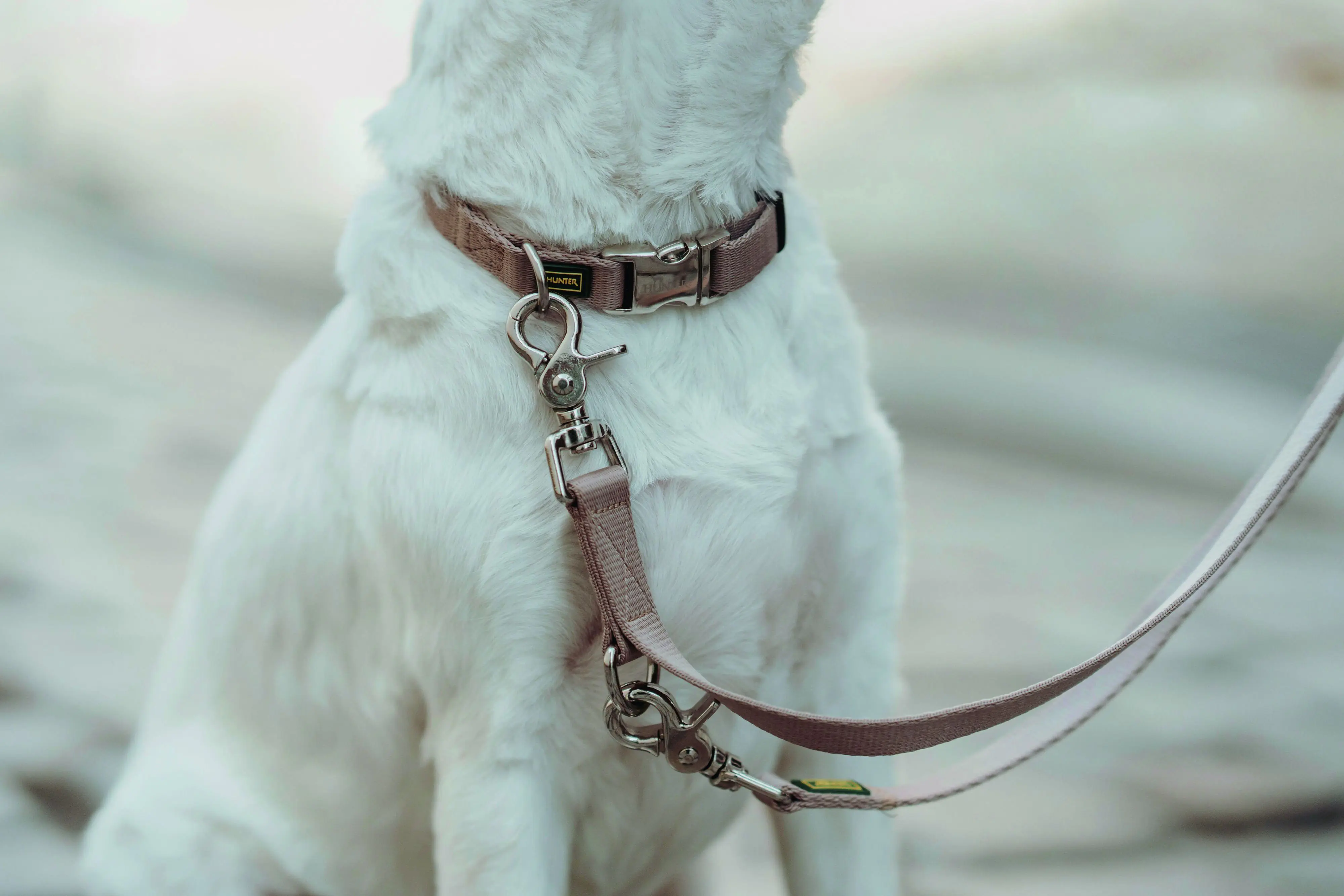 Hunter Hundehalsband Inari Alu-Strong XL beige