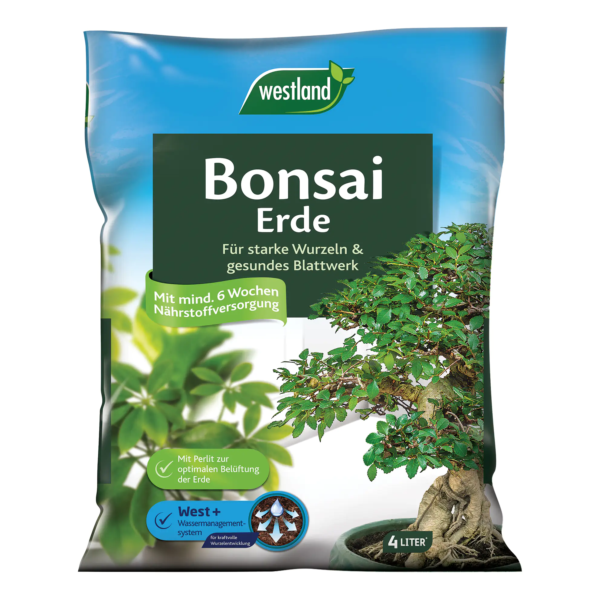 Westland Bonsaierde 4 l Westland Bonsaierde 4 l