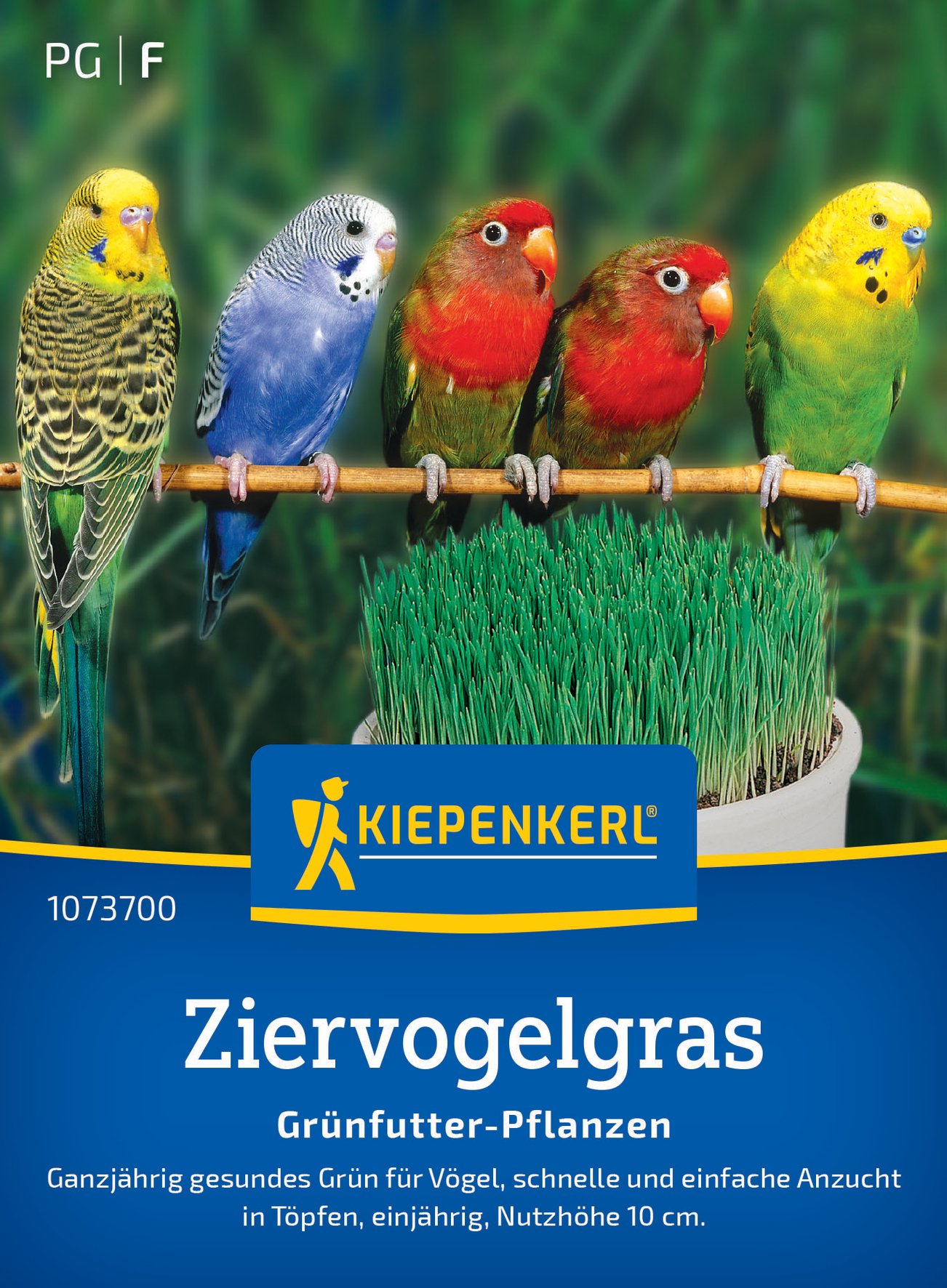 Kiepenkerl Rasensamen Ziervogelgras Frischgrün Mischung für ca. 1 m²